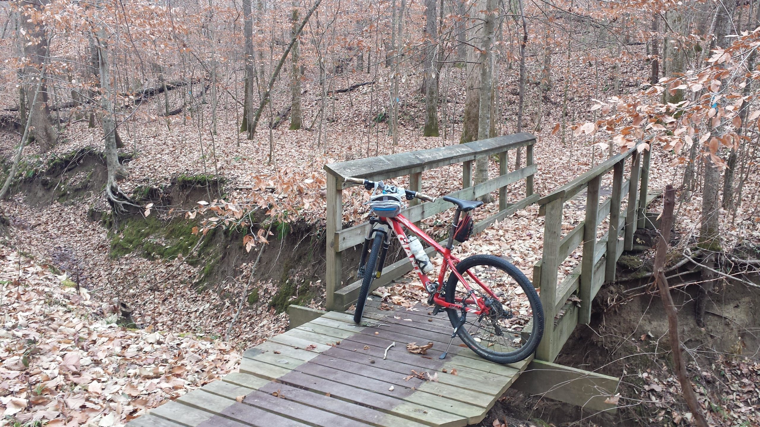 A red mountain bike is resting against a wooden bridge in a forested area. The ground is covered in fallen leaves, and the surrounding trees are bare, indicating early spring or late autumn. The bridge spans a small ravine, adding a natural element to the serene woodland scene. Noxubee Crest mountain bike trail.
