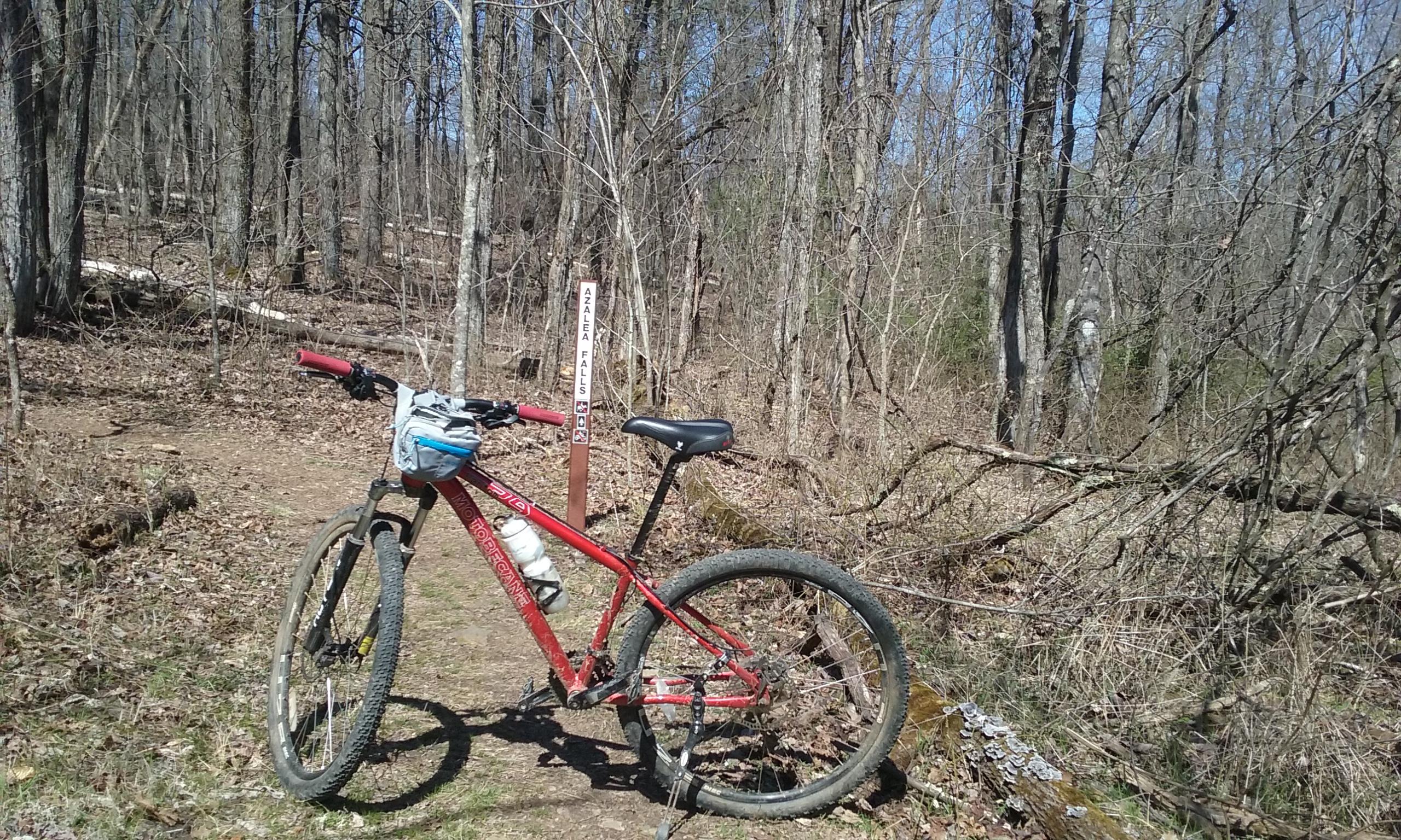 A red mountain bike with handlebar grips and a small bag rests on a dirt trail in a wooded area. A signpost marked "Azalea Falls" is visible in the background among bare trees, indicating a nearby hiking destination. The scene is set on a sunny day with a clear blue sky. Upper Buffalo Headwaters Trail System mountain bike trail.