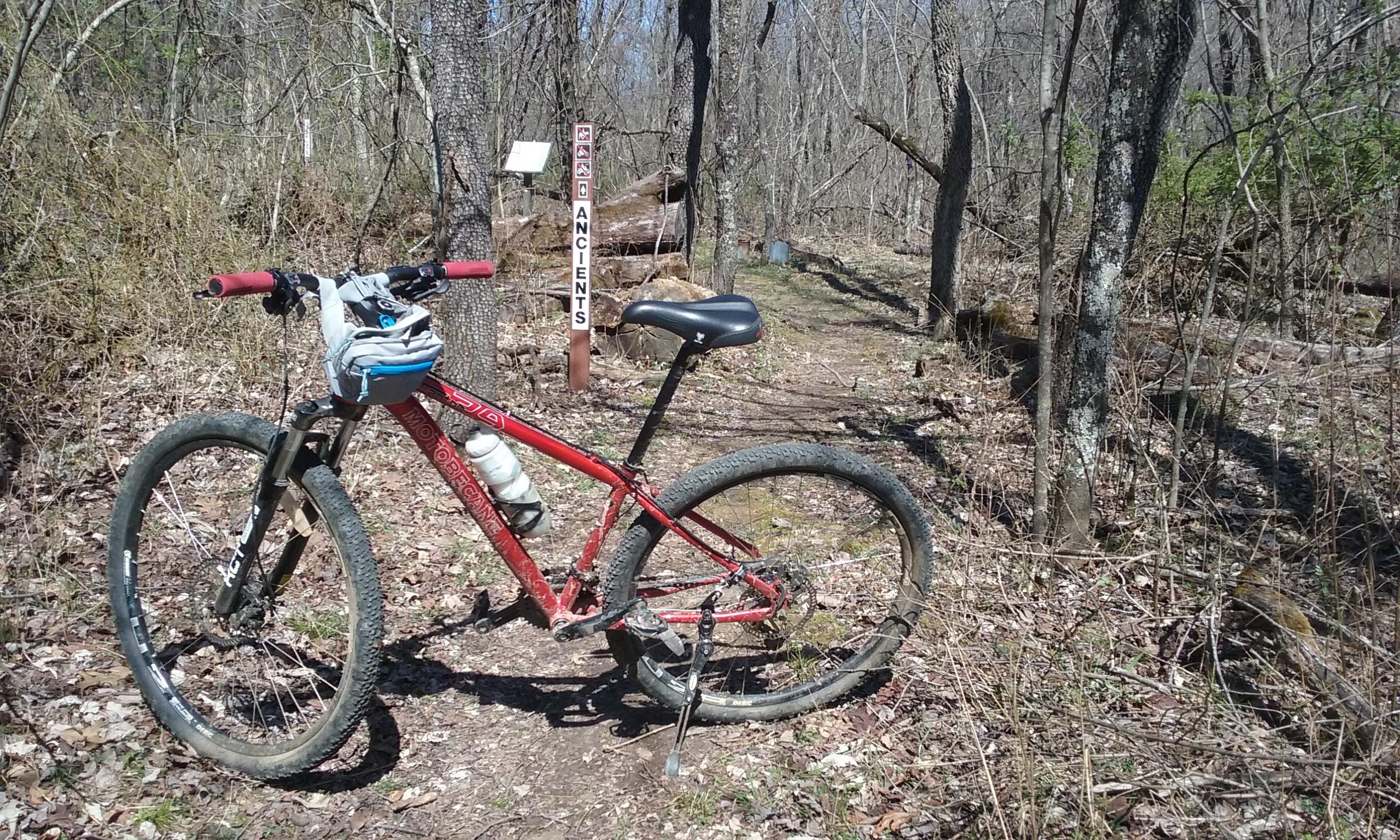 A red mountain bike rests on a dirt trail surrounded by leafless trees and foliage. In the background, a wooden signpost indicates the trail name, "Ancients." The bike features a water bottle holder and is partially obscured by the natural surroundings of the forest. Upper Buffalo Headwaters Trail System mountain bike trail.
