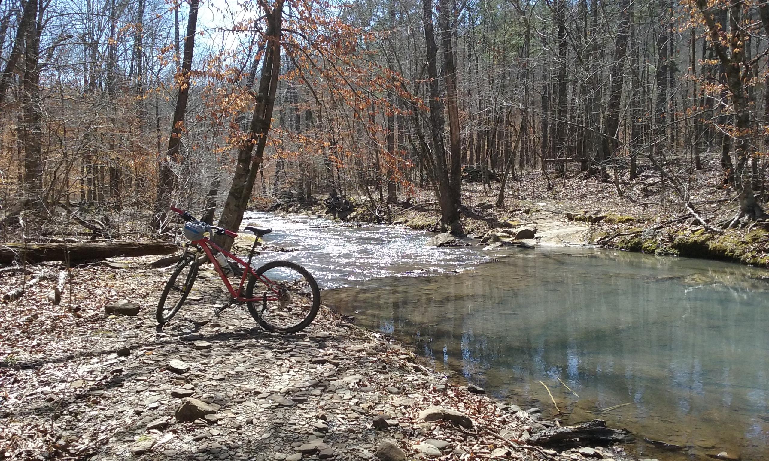A mountain bike parked on the bank of a calm river, surrounded by trees in a forest setting. The ground is covered with rocks and fallen leaves, while sunlight reflects off the water's surface. Upper Buffalo Headwaters Trail System mountain bike trail.