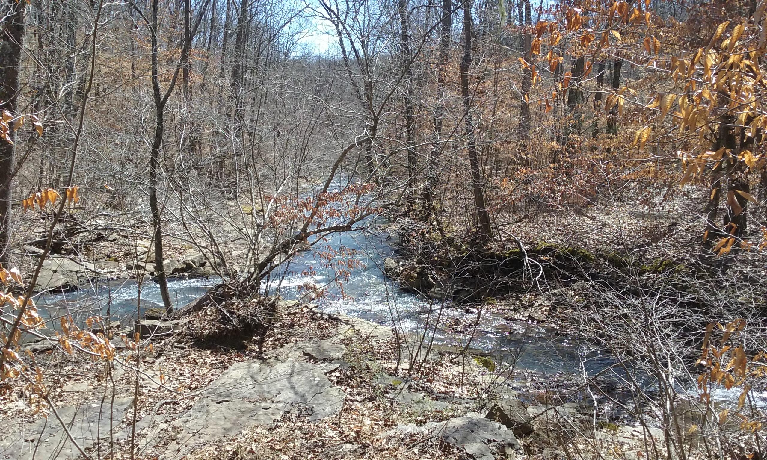 A serene forest scene featuring a winding creek surrounded by bare trees and rocky terrain. The landscape is marked by remnants of autumn foliage, with some leaves still clinging to branches, and the water appears clear and flowing gently through the natural setting. Bright blue skies are visible in the background, suggesting a clear day. Upper Buffalo Headwaters Trail System mountain bike trail.