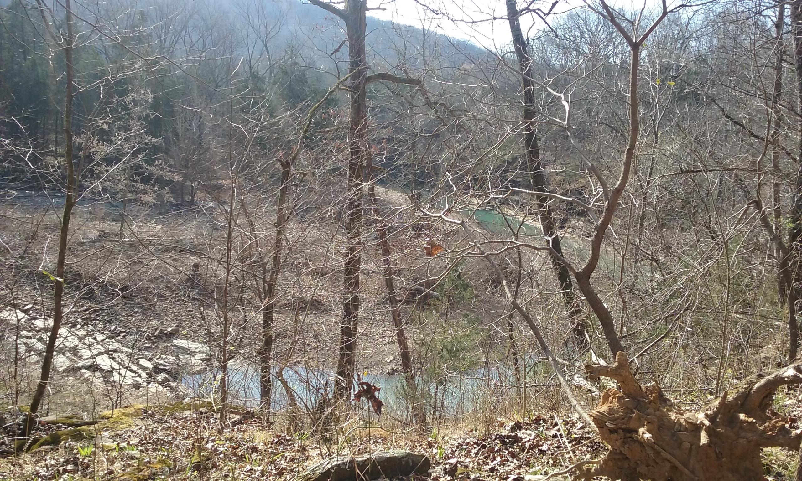 A scenic view of a bare forest with trees and underbrush, overlooking a river in the background. The landscape features a mix of dry ground and patches of water, with distant hills visible in the background under a clear sky. Fossil Flats mountain bike trail.