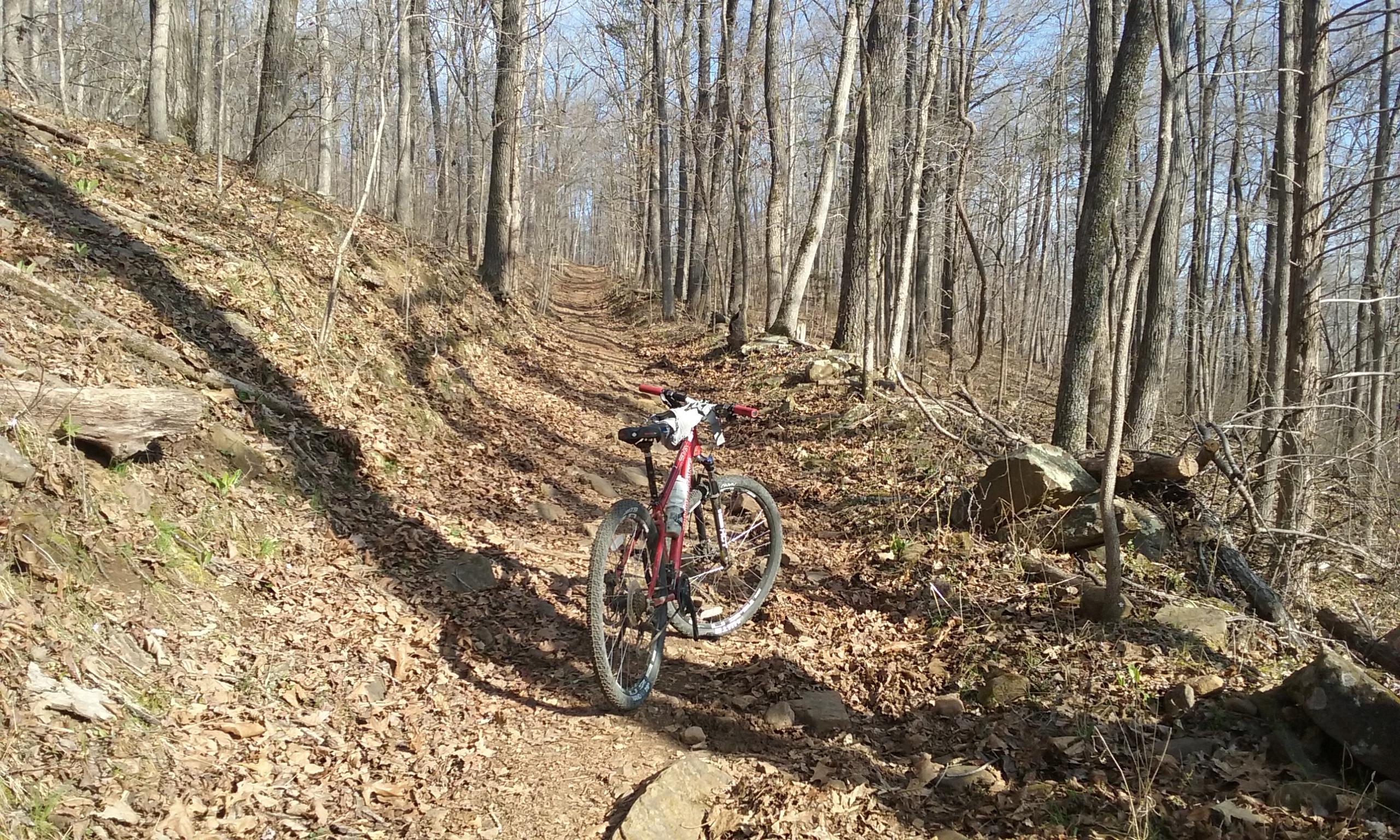 A mountain bike resting on a dirt trail surrounded by trees and dry leaves. The path winds through a forest with a clear blue sky visible in the background, suggesting a sunny day. Fossil Flats mountain bike trail.