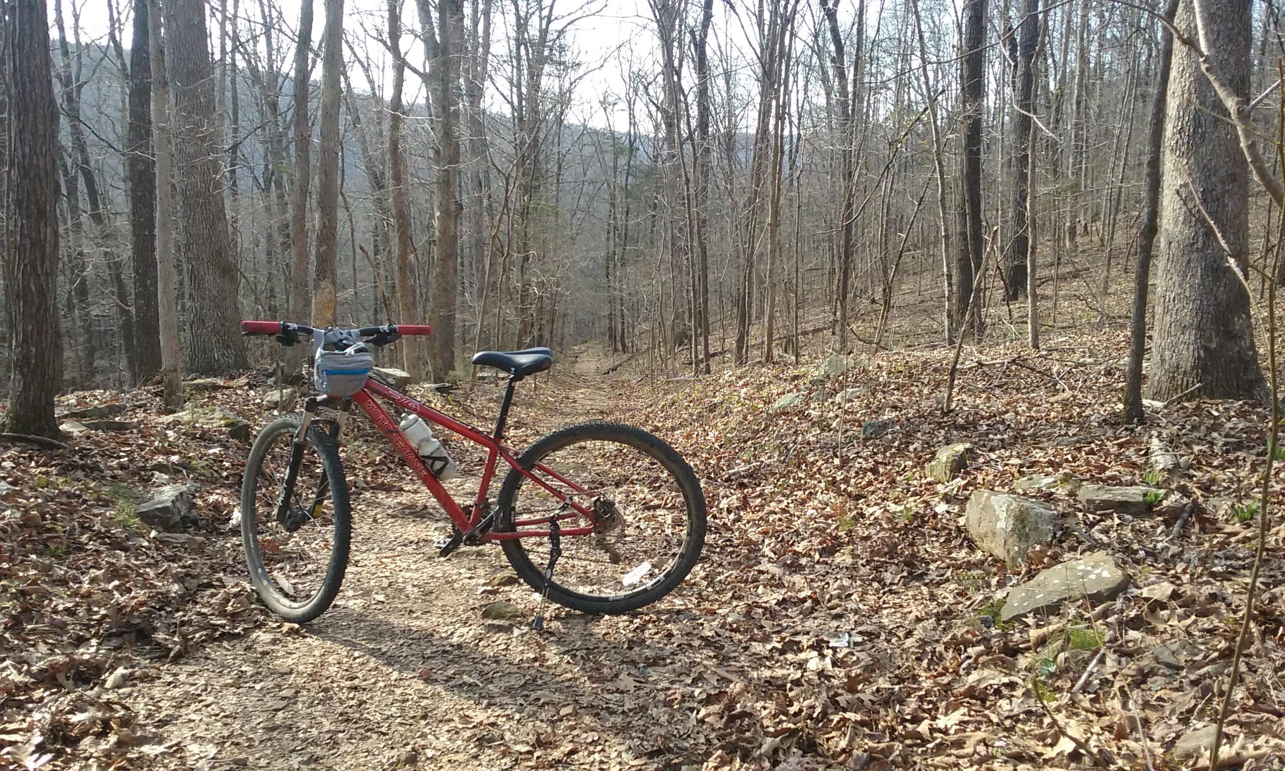 A red mountain bike with a blue bag attached to the handlebars is positioned on a dirt trail surrounded by bare trees and scattered autumn leaves. The path winds through a wooded area, with rocky outcrops visible alongside the trail. Fossil Flats mountain bike trail.