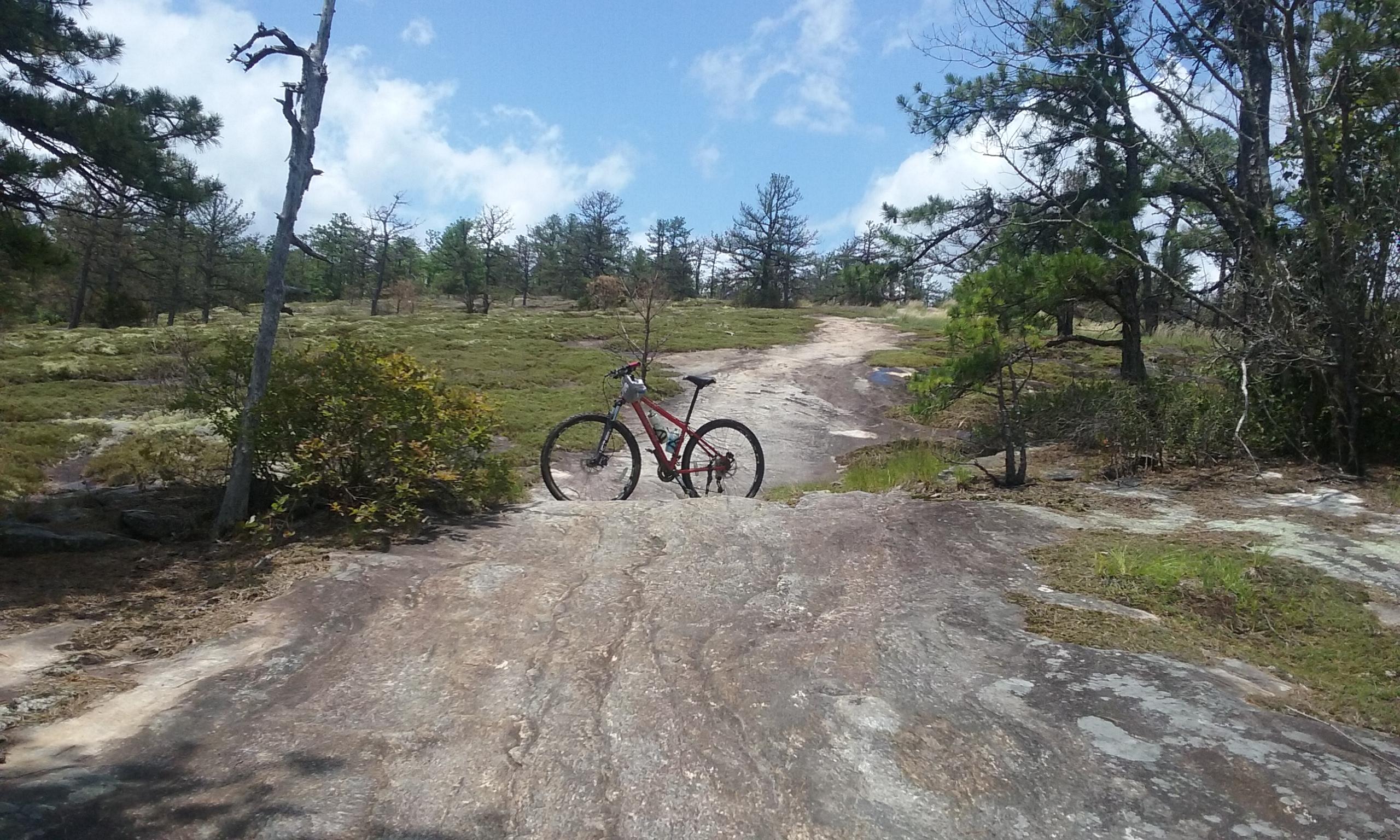 A red mountain bike is positioned on a rocky path surrounded by greenery and trees under a blue sky with scattered clouds. The landscape features uneven terrain leading into the distance. DuPont State Recreational Forest mountain bike trail.