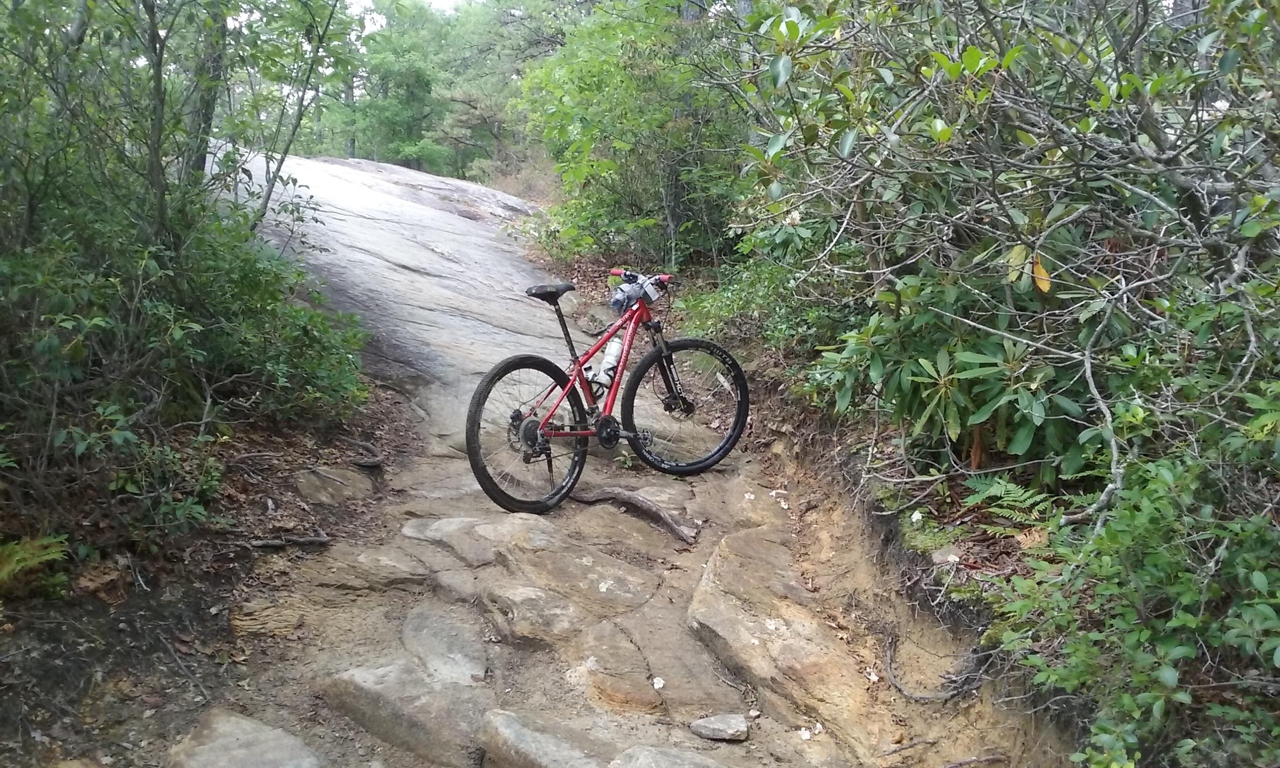 A red mountain bike is positioned on a rocky trail surrounded by greenery and trees. The path features large stones and uneven terrain, indicating a natural outdoor setting suitable for mountain biking. DuPont State Recreational Forest mountain bike trail.