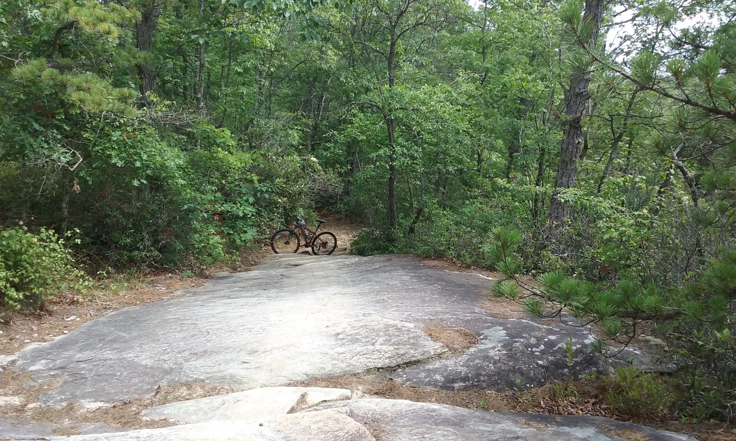 A rocky trail through a dense forest, with a mountain bike positioned on the large granite surface. Lush green trees and shrubs surround the path, indicating a natural outdoor setting ideal for biking or hiking. DuPont State Forest mountain bike trail.