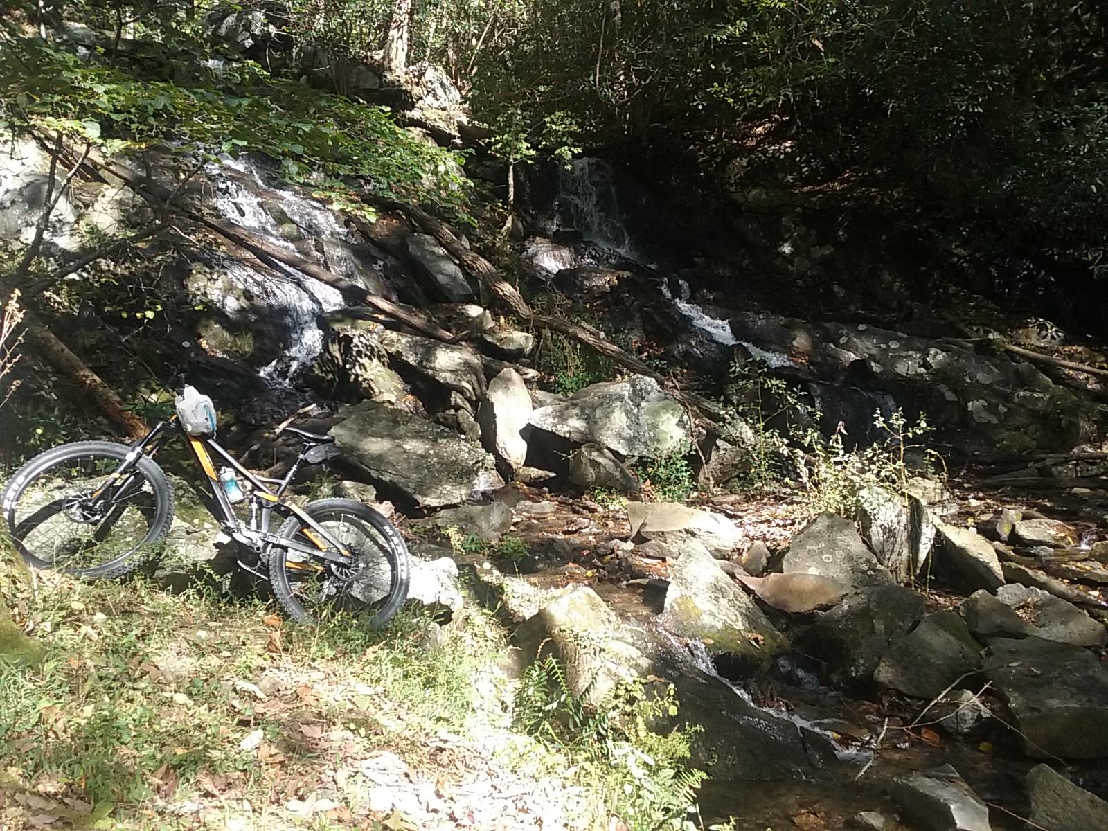 A mountain bike resting on rocky terrain beside a flowing stream, surrounded by lush greenery and sunlight filtering through the trees. Pinhoti Trail: P1 / Bear Creek Pinhoti mountain bike trail.