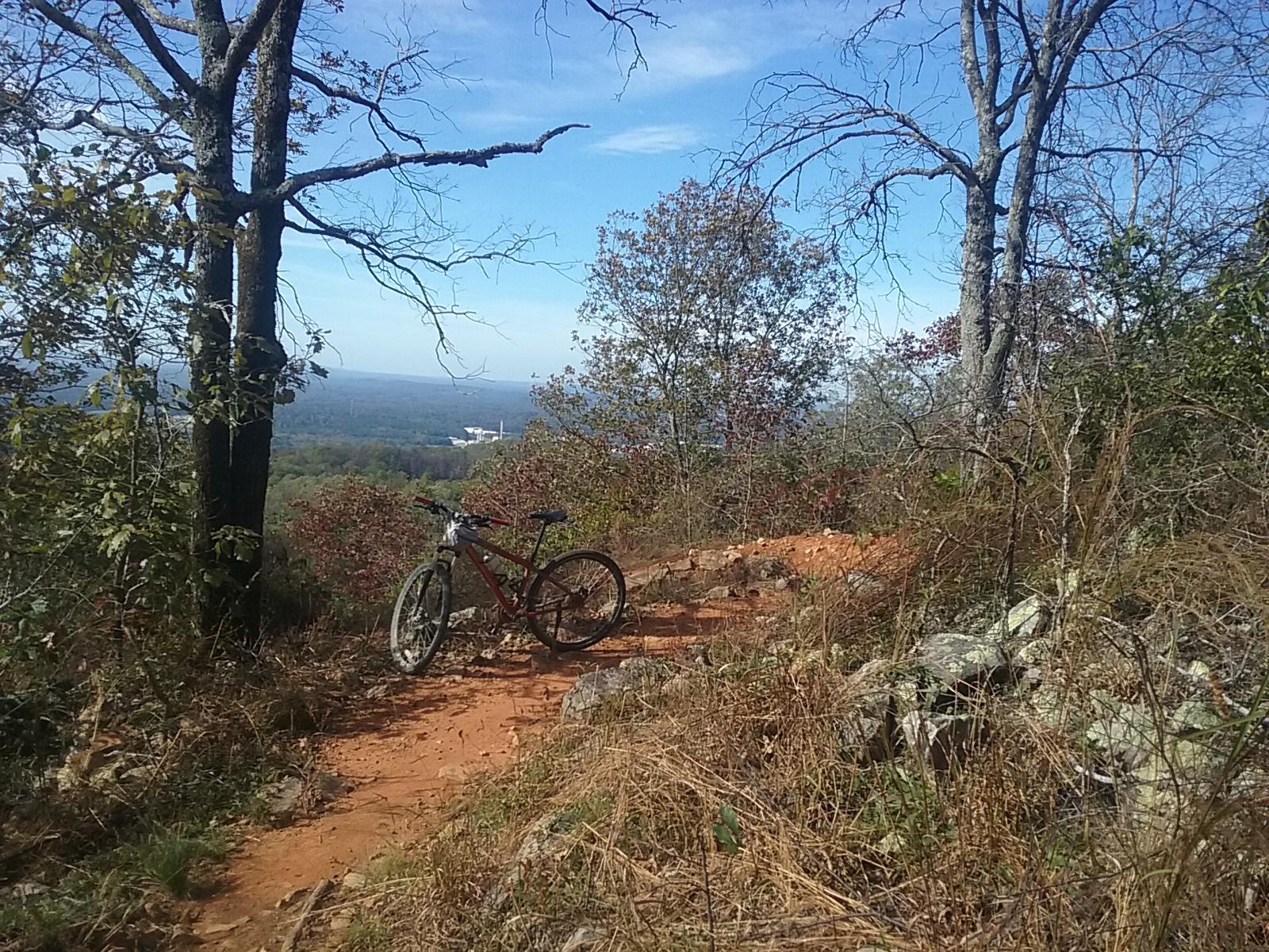 A mountain bike leaned against a tree on a dirt trail surrounded by greenery, with a scenic view of rolling hills and a clear blue sky in the background. Coldwater Mountain mountain bike trail.