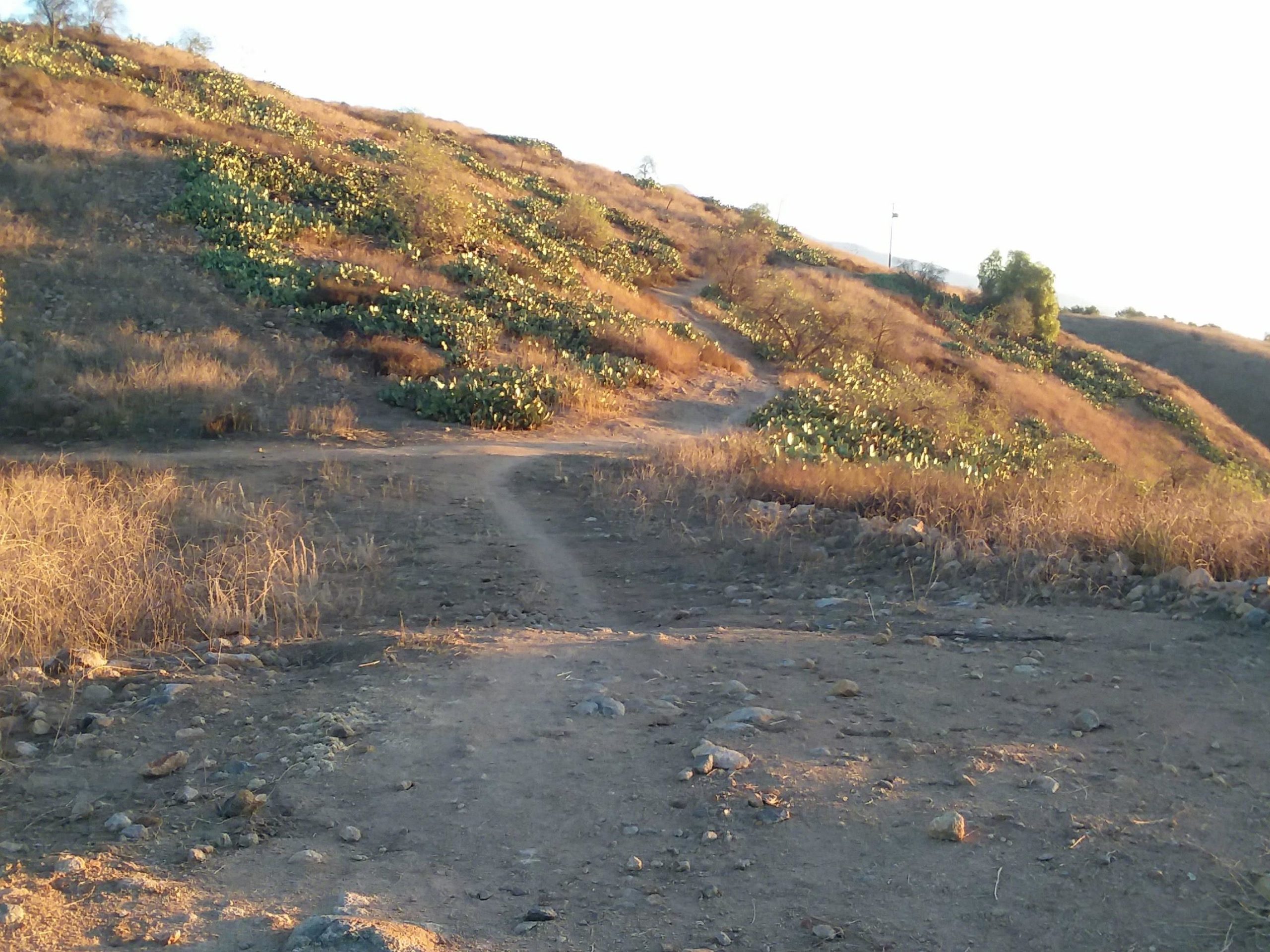 A dirt path winding through a hillside landscape covered with dry grass and small shrubs, illuminated by the soft glow of the setting sun. The terrain is rocky and uneven, with patches of greenery scattered across the slope. Frank G. Bonelli Regional Park mountain bike trail.