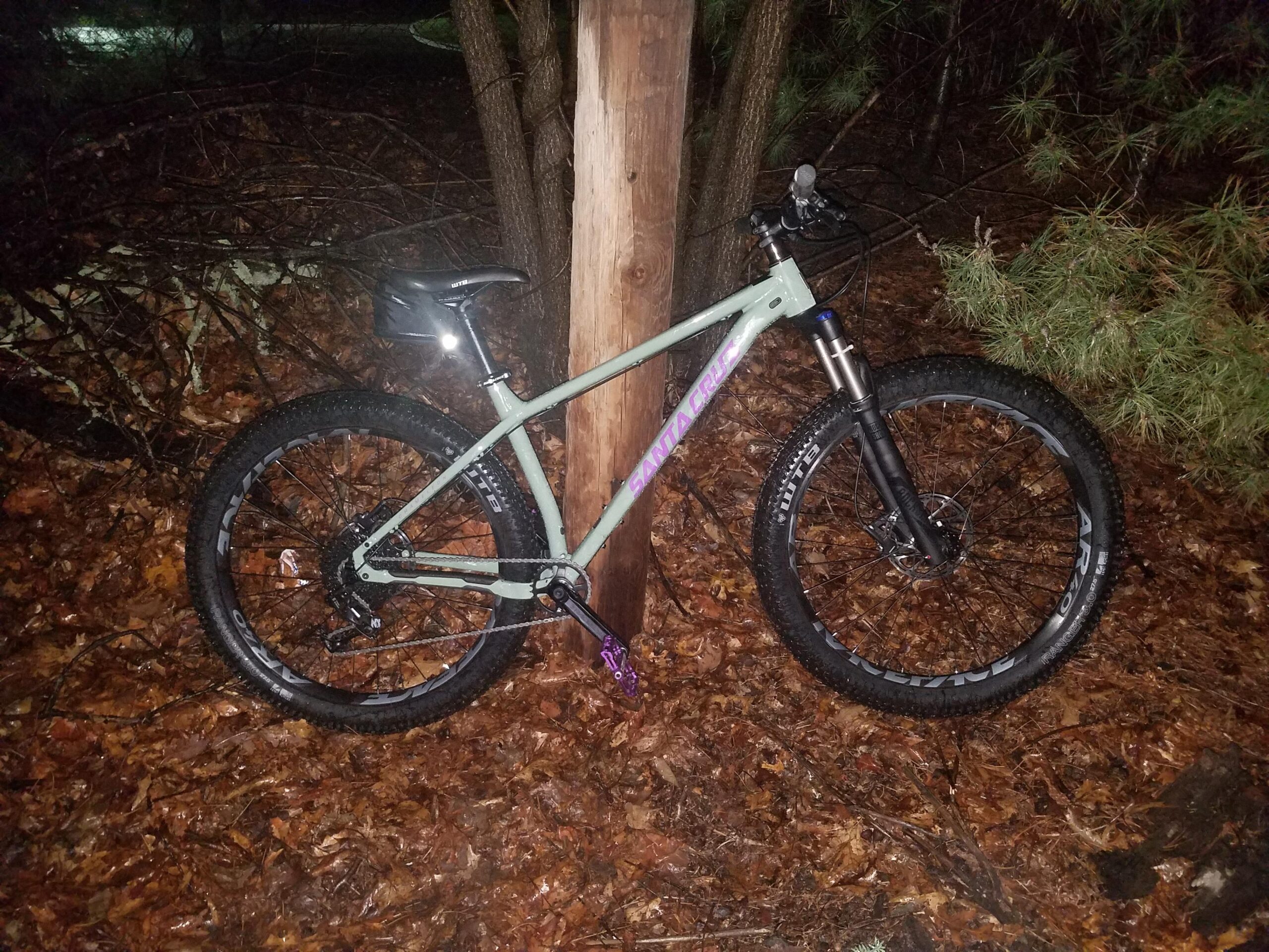 Santa Cruz Chameleon: A mountain bike is leaning against a tree in a wooded area covered with fallen leaves, along with branches and foliage. The bike features large tires and a light-colored frame, with visible suspension components. It's nighttime, with faint light in the background.
