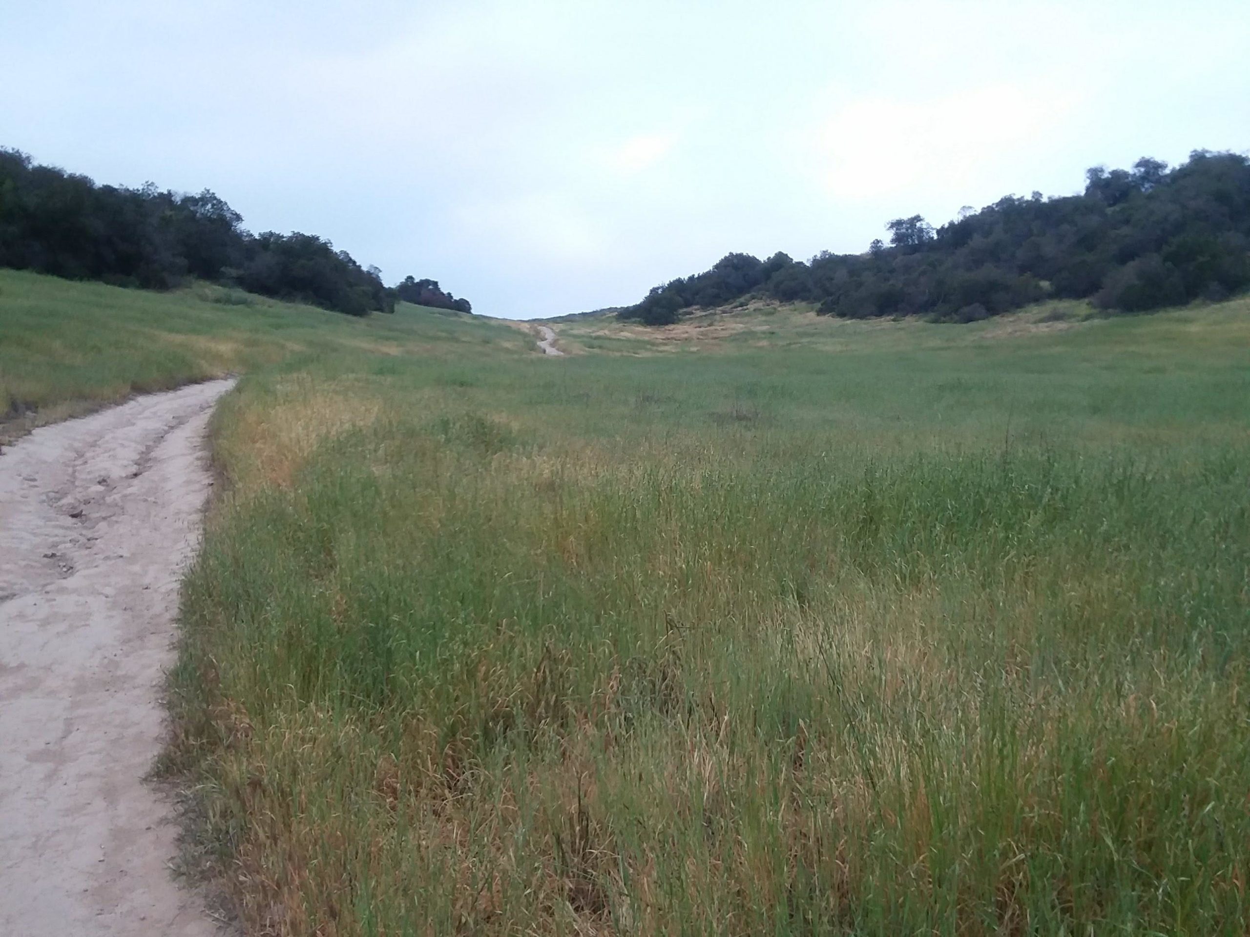 A dirt path winding through a lush green field, surrounded by gentle hills and patches of trees under a cloudy sky. Frank G. Bonelli Regional Park mountain bike trail.