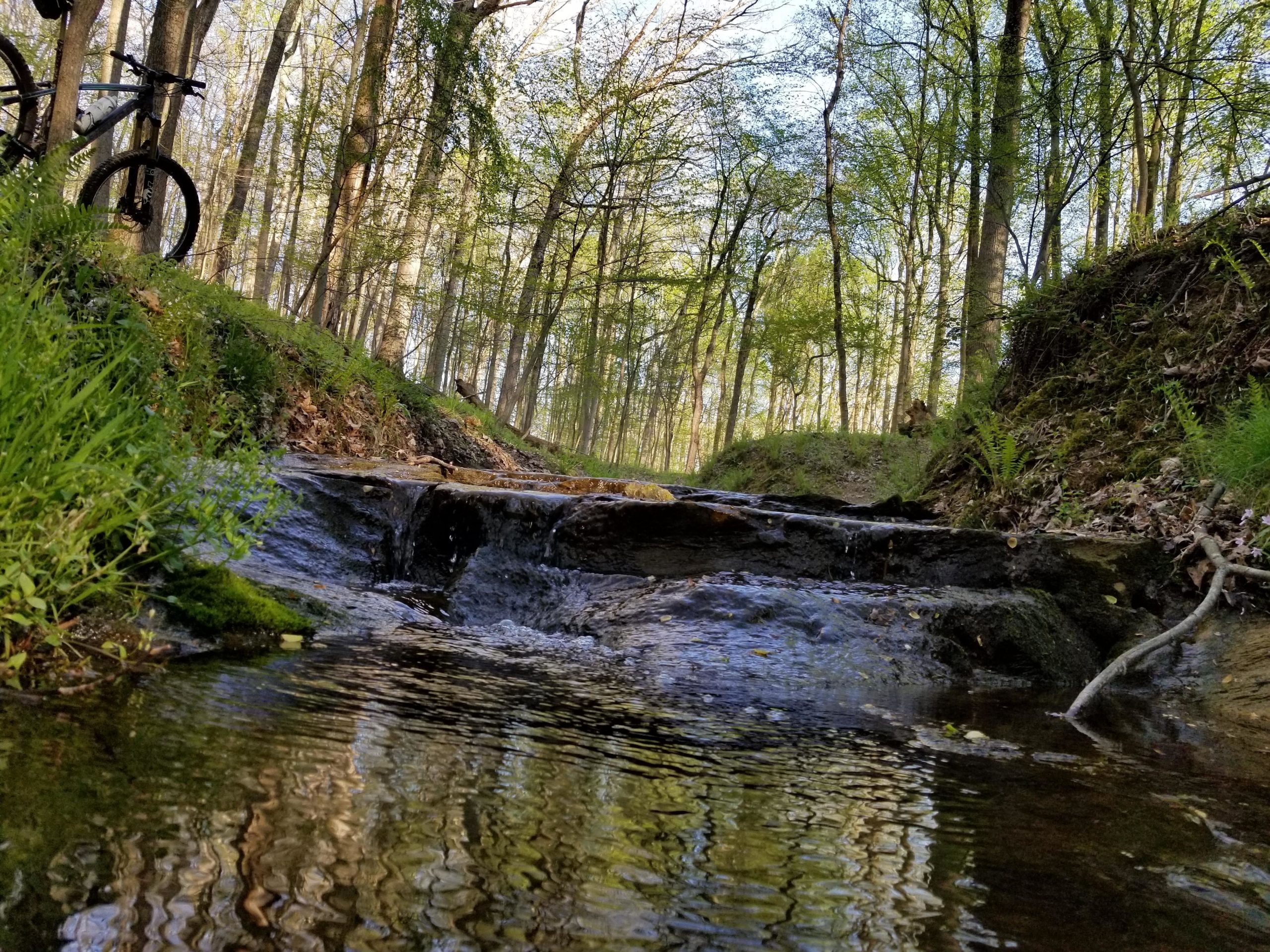 A serene forest scene featuring a small stream flowing over rocks, surrounded by lush greenery. In the background, tall trees with budding leaves create a vibrant canopy, while a bicycle is partially visible on the left. The water reflects the trees and sky above, enhancing the tranquil atmosphere of the natural setting. Muddy Branch Greenway Trail mountain bike trail.