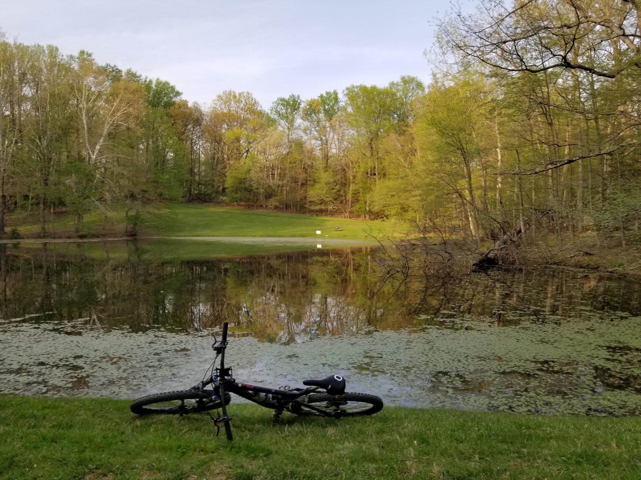 A black bicycle lies on the grass by the edge of a tranquil pond, surrounded by lush green trees. The calm water reflects the scenery, with patches of algae visible on the surface. In the background, a grassy hillside leads up to more trees, suggesting a peaceful natural setting. Muddy Branch Greenway Trail mountain bike trail.