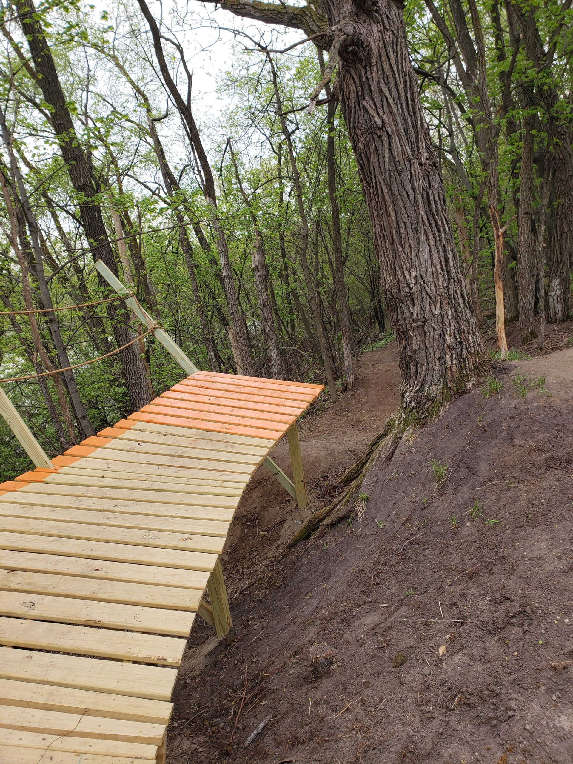 Wooden bridge with an orange and natural finish, curving through a forested area. Surrounding trees are lush and green, indicating springtime. The ground near the bridge is slightly sloped and earthy, with some exposed roots and grass. Bertram Chain of Lakes Trail mountain bike trail.