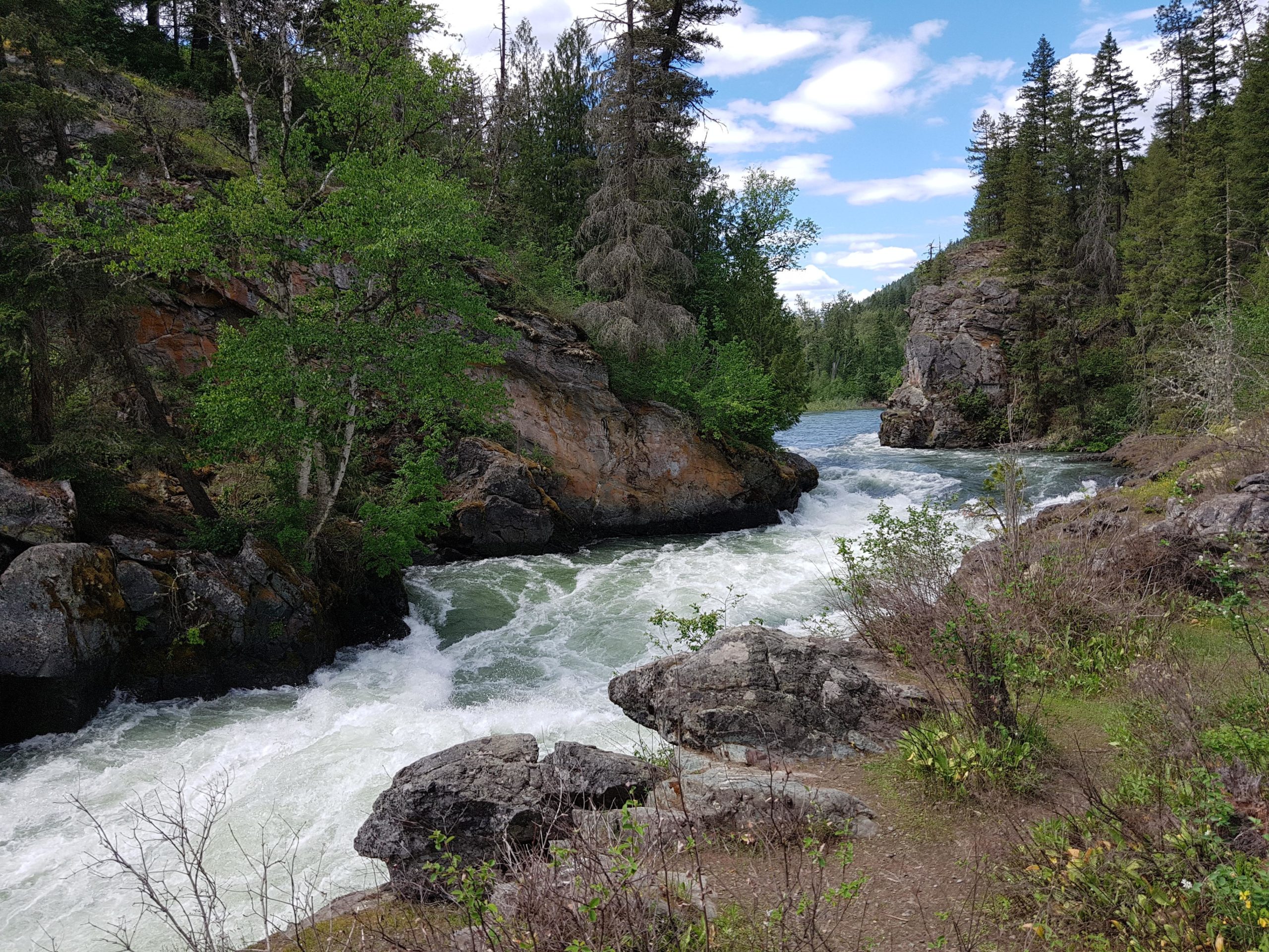 A serene riverscape featuring a rushing river surrounded by lush greenery and rocky outcrops. Towering trees line the banks, while a partly cloudy blue sky provides a picturesque backdrop. Wade Road Trails mountain bike trail.