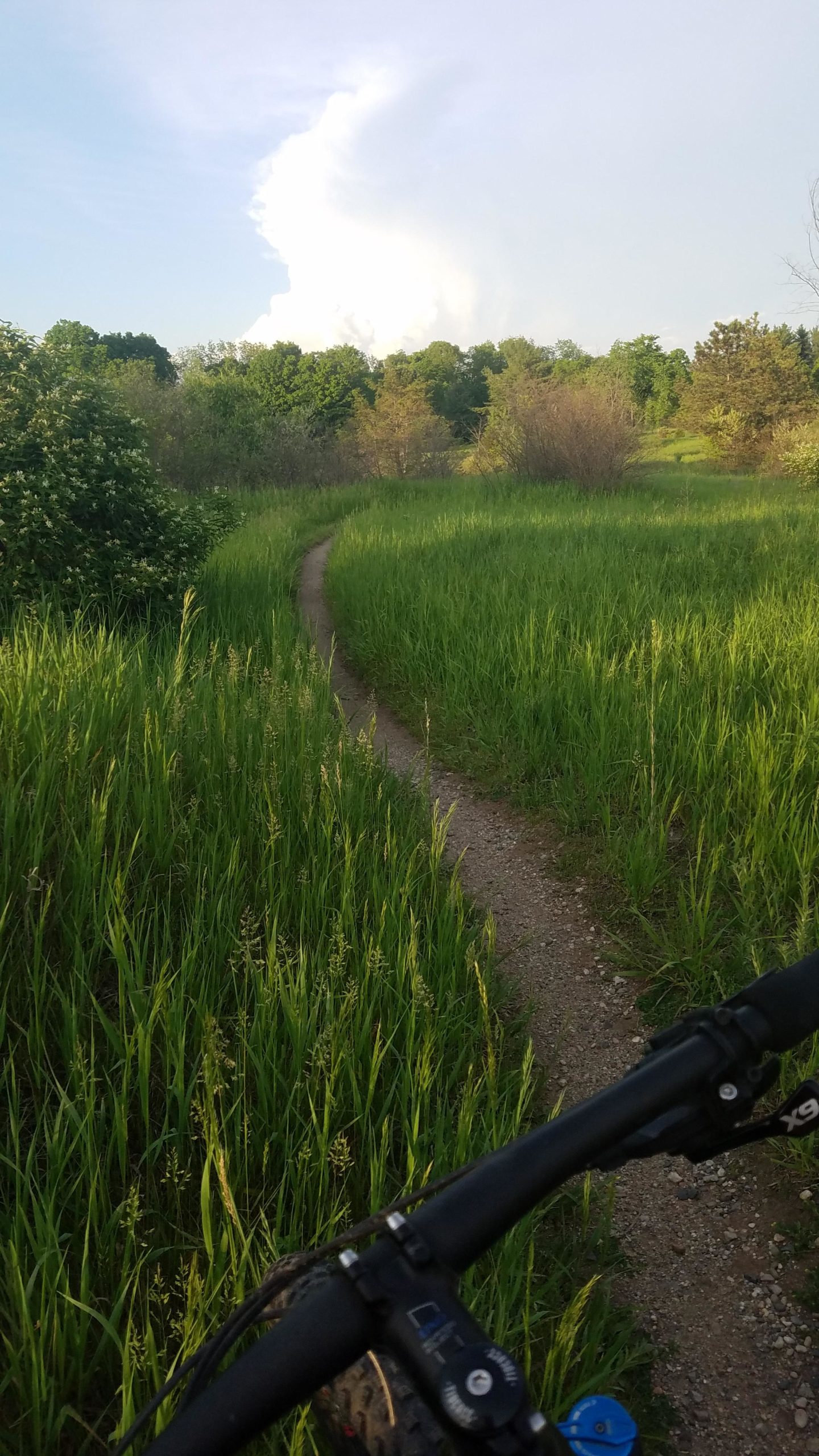 A winding dirt path through tall green grass surrounded by trees and bushes, with a blue sky and cloud formation in the background. The image is taken from the perspective of a mountain bike, showing part of the handlebars. Ionia State Recreation Area mountain bike trail.
