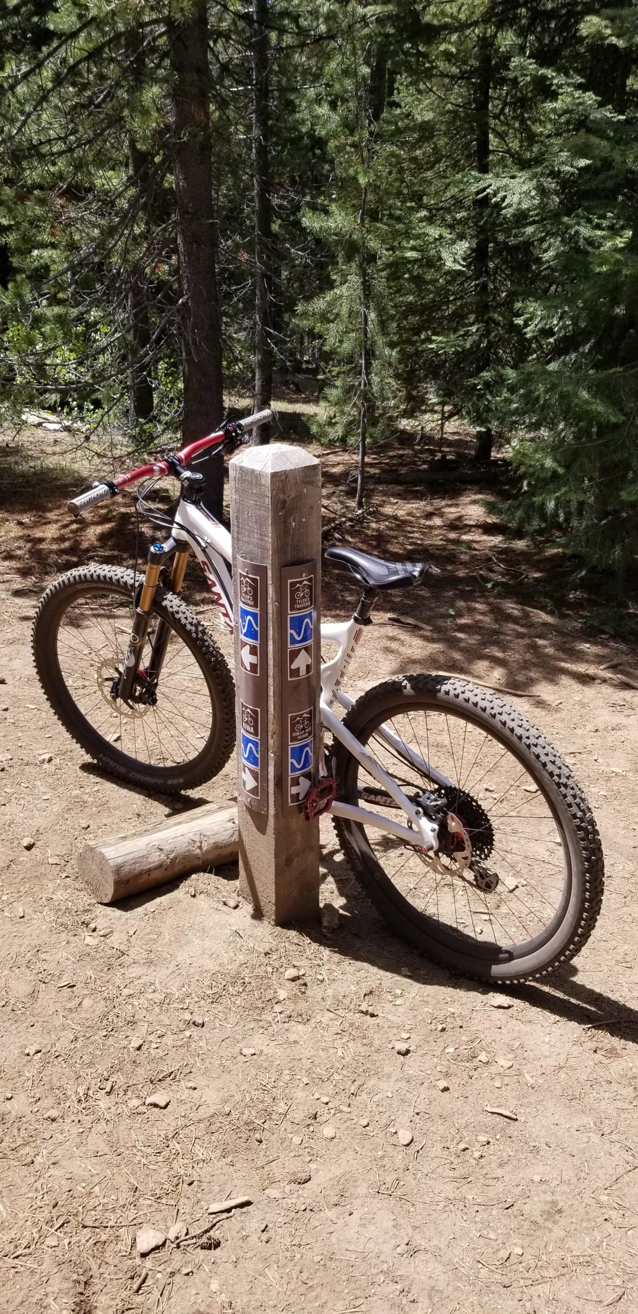 A mountain bike parked next to a wooden trail sign, surrounded by tall trees and dirt. The sign features trail markers with symbols for biking and walking paths. Sunlight filters through the trees, creating a bright outdoor scene. Tylers Traverse mountain bike trail.