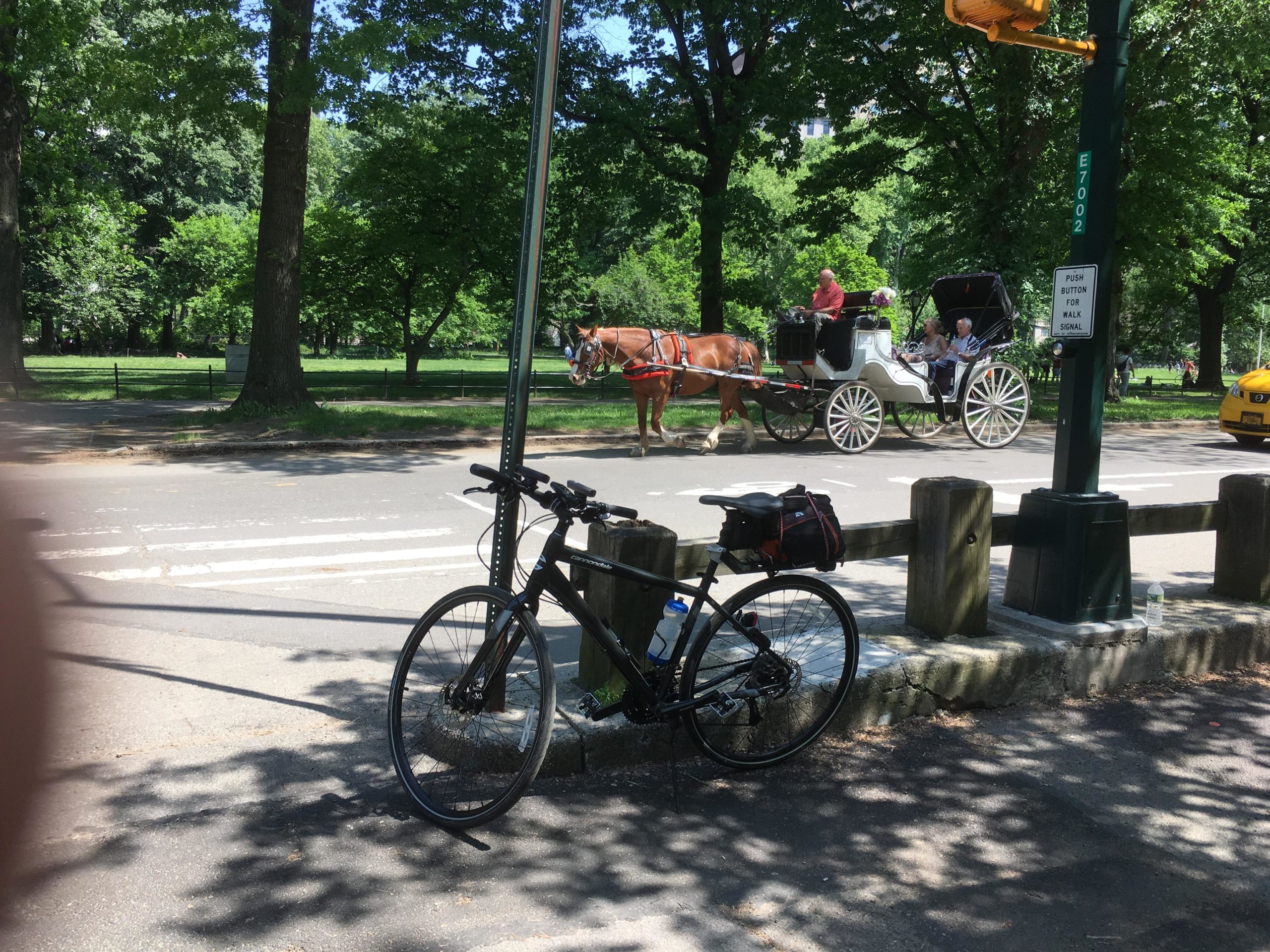 A black bicycle leans against a pole along a street, with a horse-drawn carriage passing by in the background. The scene is set in a park with lush green trees and vibrant sunlight filtering through the leaves. A pedestrian traffic signal is visible, along with a yellow taxi parked nearby. Central Park Green way mountain bike trail.