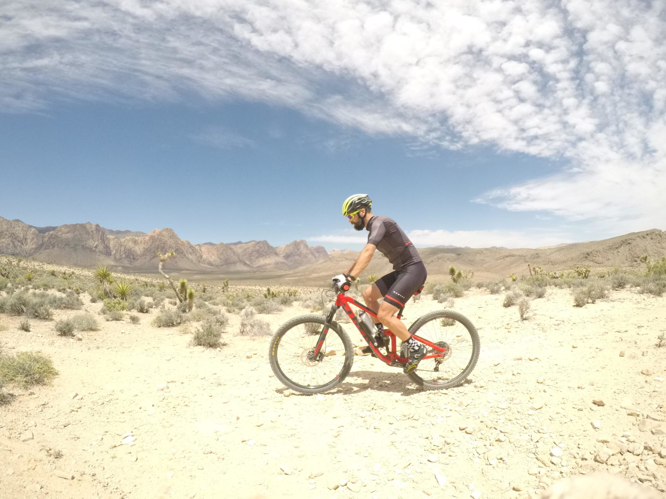 A person riding a mountain bike on a desert trail surrounded by shrubs and rocky terrain, with mountains in the background and a clear blue sky dotted with clouds. Blue Diamond mountain bike trail.