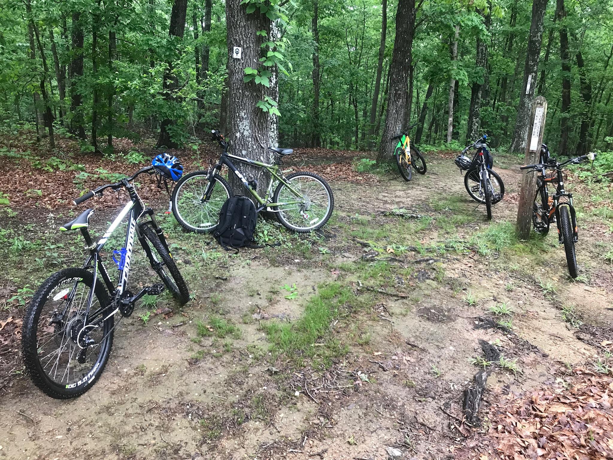 Five bicycles parked along a dirt trail in a lush green forest. Trees surround the area, with a mix of foliage and fallen leaves on the ground. One bike leans against a tree, while others are positioned in a semi-circle nearby. A backpack sits on the ground beside one of the bikes. Berryman mountain bike trail.