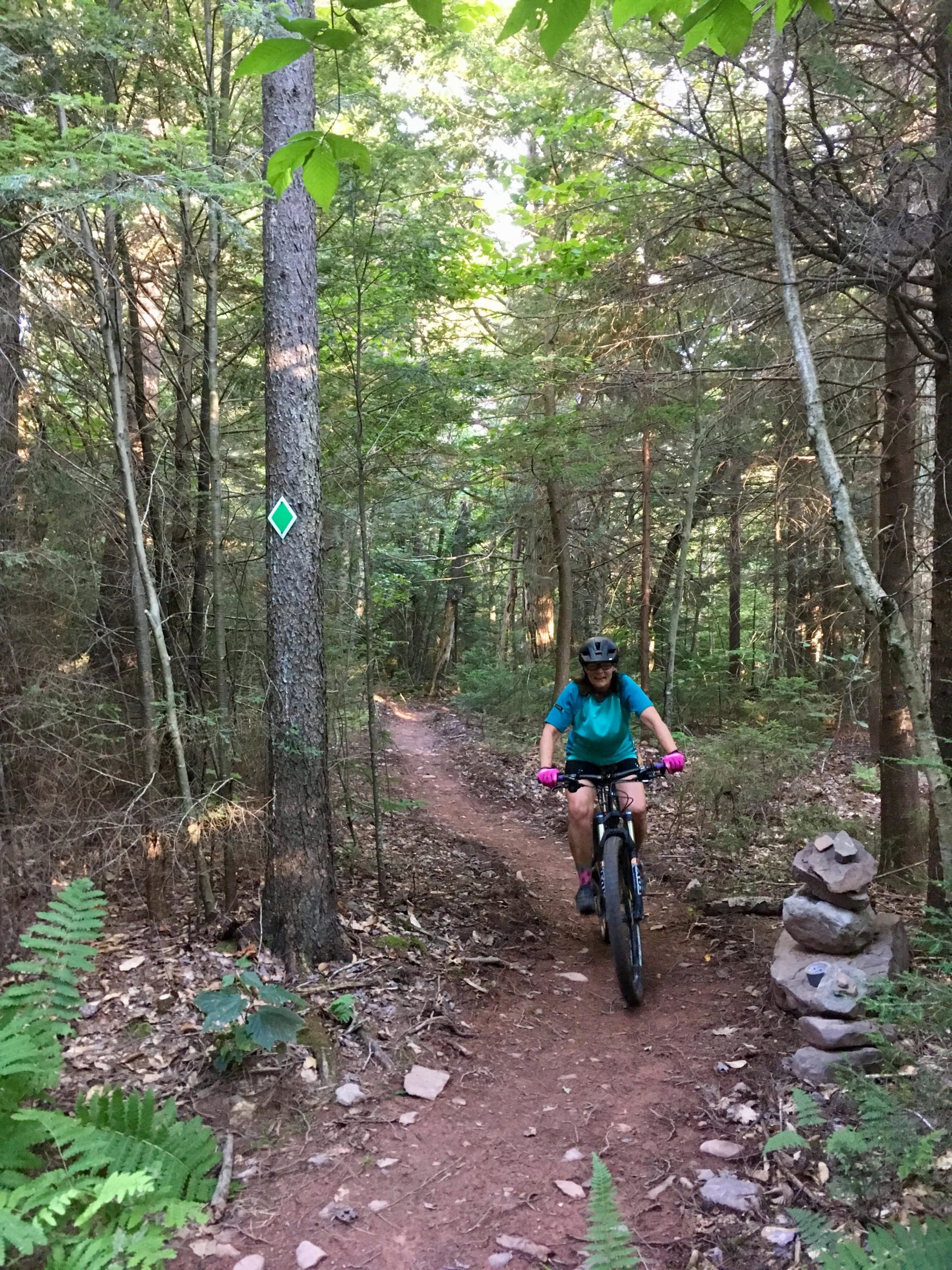 A mountain biker in a teal shirt and pink gloves rides along a dirt trail surrounded by tall trees and lush greenery. A trail marker with a diamond shape is visible on a tree, and a small stack of rocks is positioned on the side of the path. Thriller mountain bike trail.