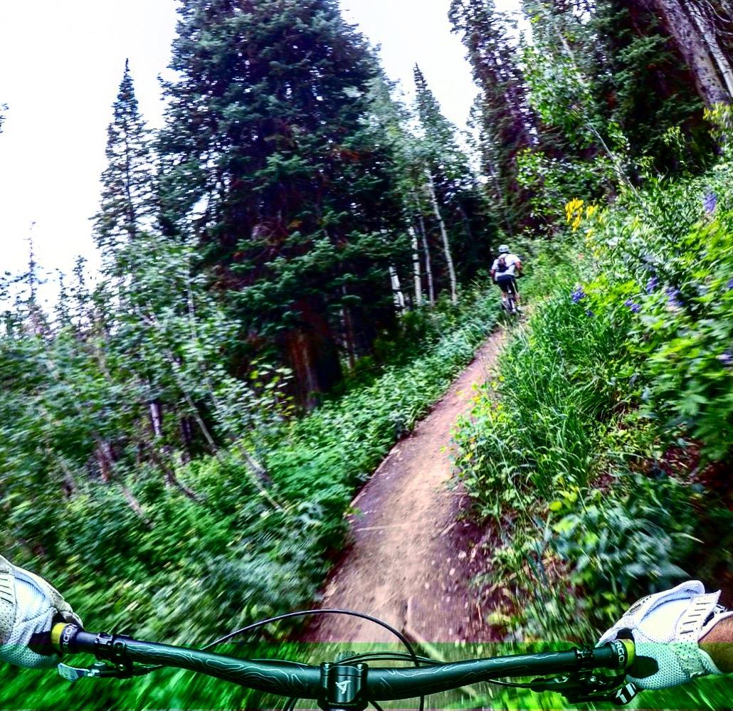 Transition Patrol: A mountain biker riding on a narrow dirt trail surrounded by lush greenery and tall trees, captured from a low angle showing the bike handlebars in the foreground. The scene conveys a sense of speed and adventure in a natural setting.