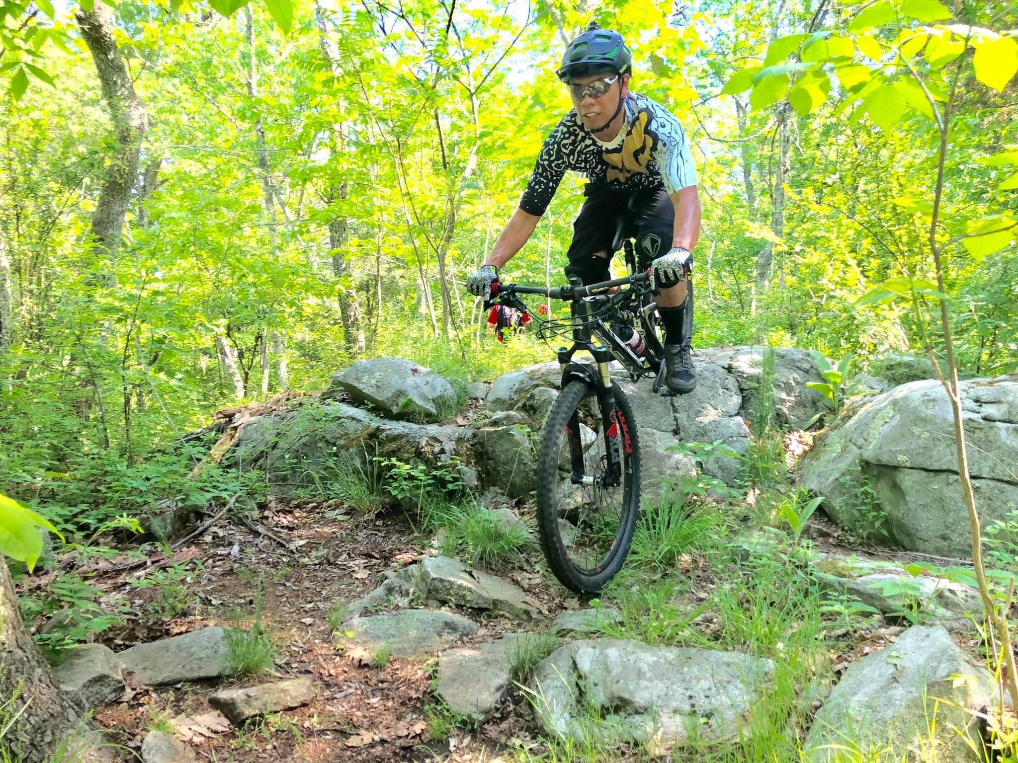 A mountain biker navigating over rocky terrain in a lush, green forest. The rider, wearing a helmet and protective gear, balances on their bike as they approach large stones surrounded by foliage. Bright sunlight filters through the trees, illuminating the scene. Ringwood Skylands Manor mountain bike trail.