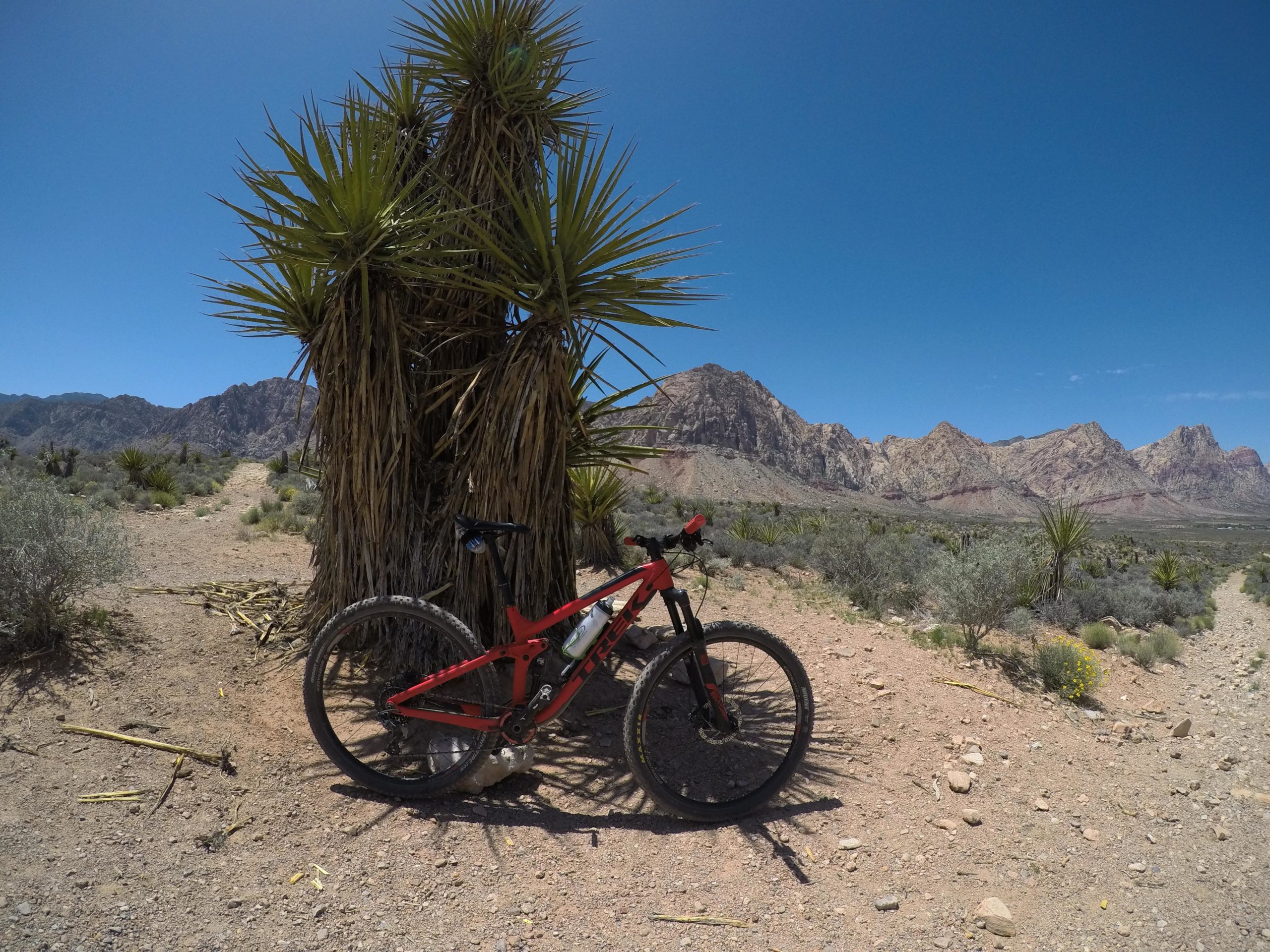 A red mountain bike resting against a yucca plant on a dirt trail, surrounded by rocky mountains and a clear blue sky. The landscape features sparse vegetation and sandy terrain, typical of a desert environment. Blue Diamond mountain bike trail.