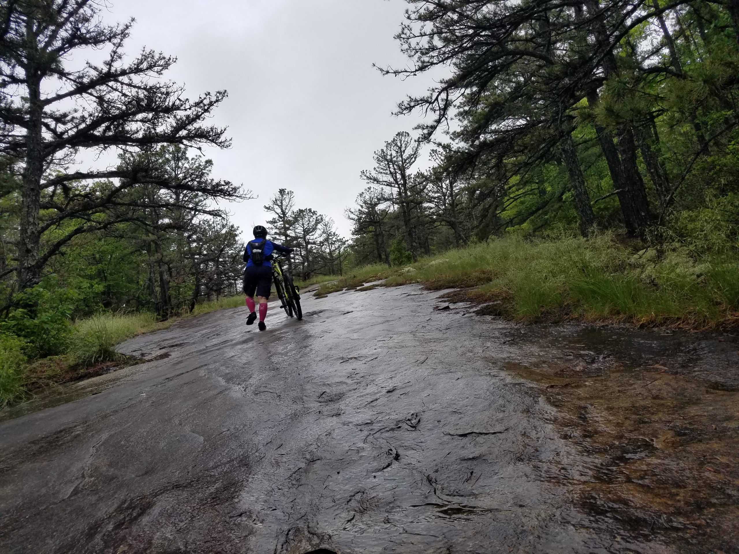 Big Rock Trail Loop