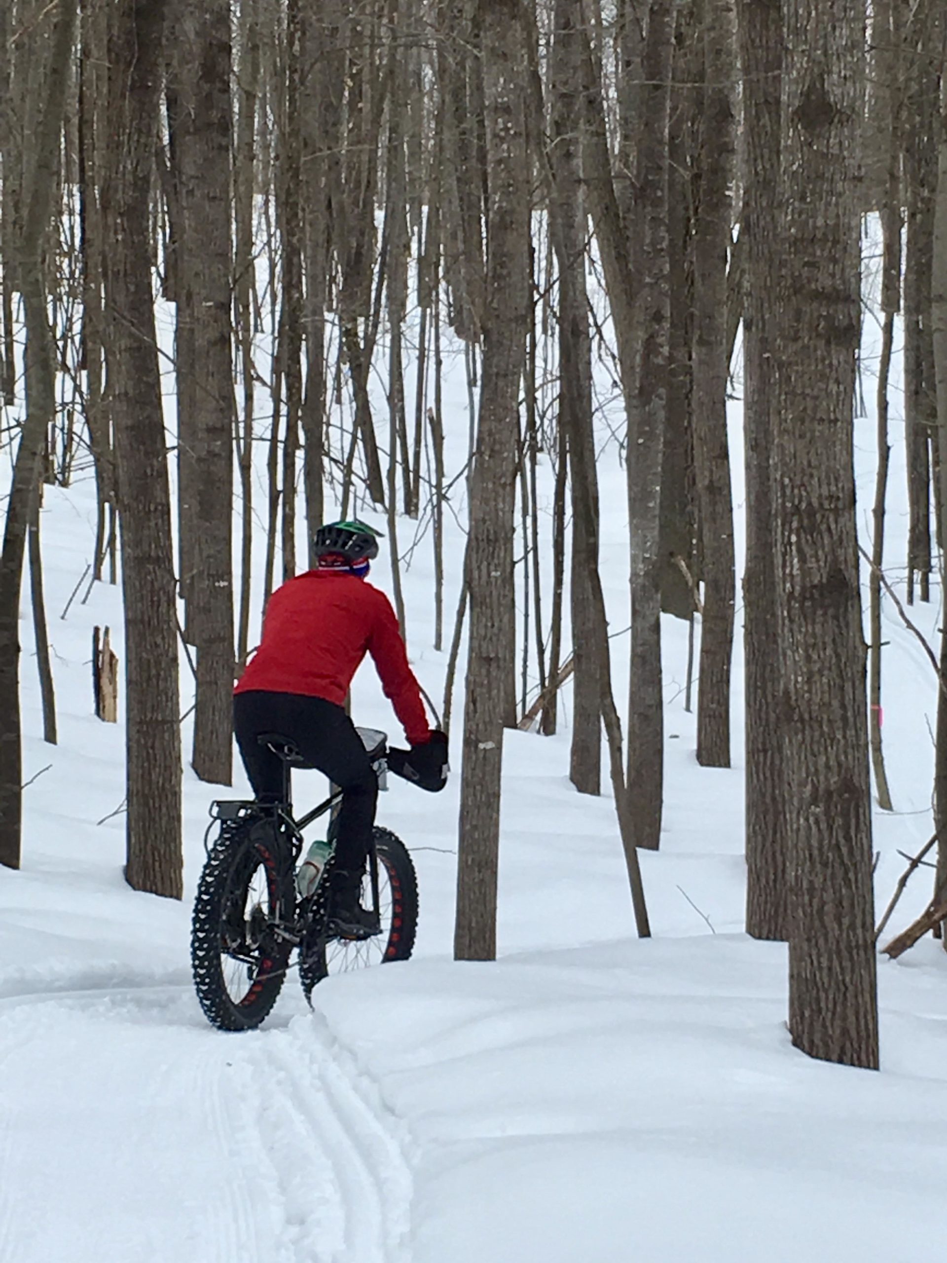 A person riding a fat bike along a snowy trail in a forest, surrounded by tall, bare trees. The rider is dressed in a red jacket and black pants, wearing a helmet and gloves. Snow covers the ground, and tire tracks lead through the snow. CAMBA: Hayward and Seeley Clusters mountain bike trail.