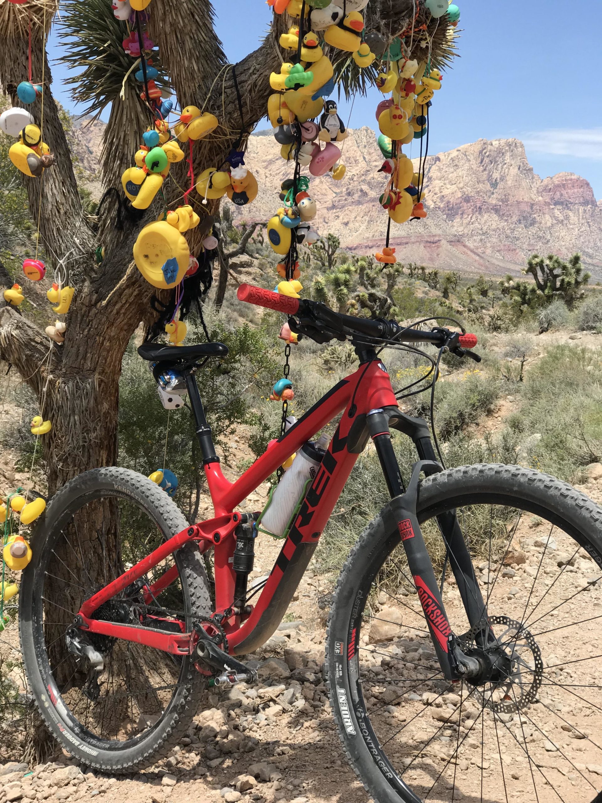 A red mountain bike parked next to a unique tree decorated with colorful plastic toys, including rubber ducks and various cartoon figures, set against a scenic backdrop of mountains and blue sky. Blue Diamond mountain bike trail.