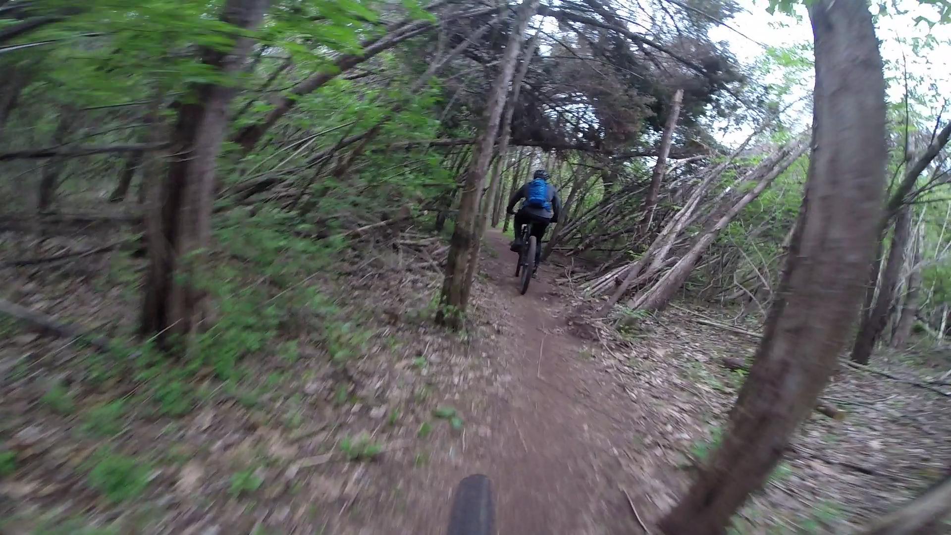 A mountain biker riding along a narrow dirt trail surrounded by lush green trees and dense underbrush. The scene captures the adventurous spirit of outdoor biking in a natural forest setting. Six Mile Run mountain bike trail.