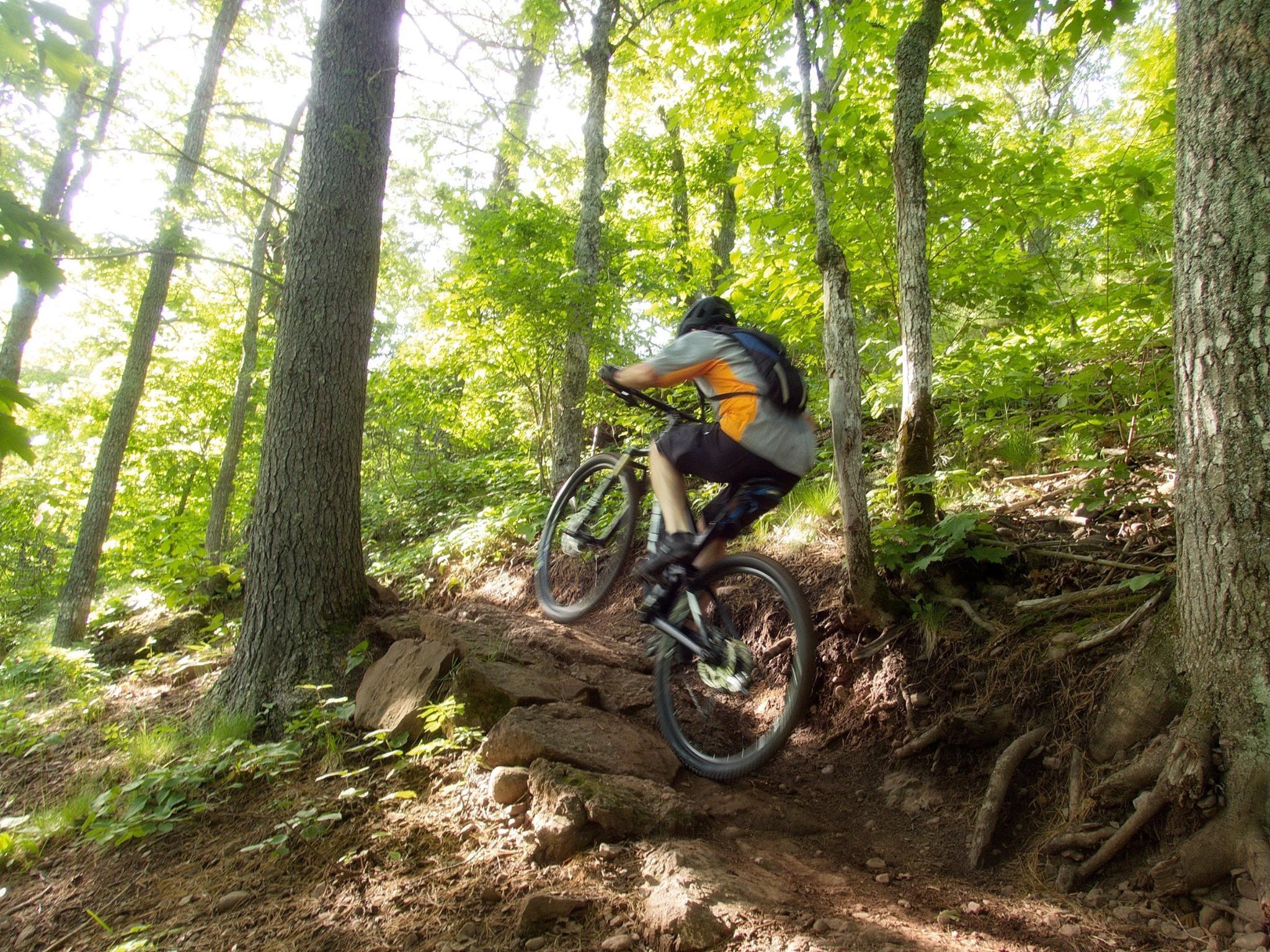 A mountain biker navigating a rocky trail in a lush green forest, with sun filtering through the trees. The biker is partially airborne, showcasing dynamic movement in the rugged terrain. Copper Harbor Trails mountain bike trail.