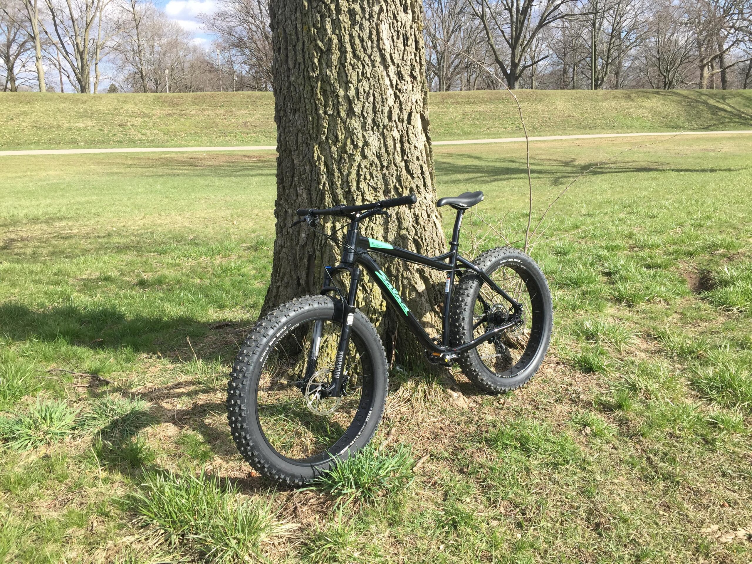 Salsa Mukluk: A black fat tire bicycle leaning against a tree in a grassy park, with clear blue skies and bare trees in the background. The ground is mostly green with some patches of dirt visible.