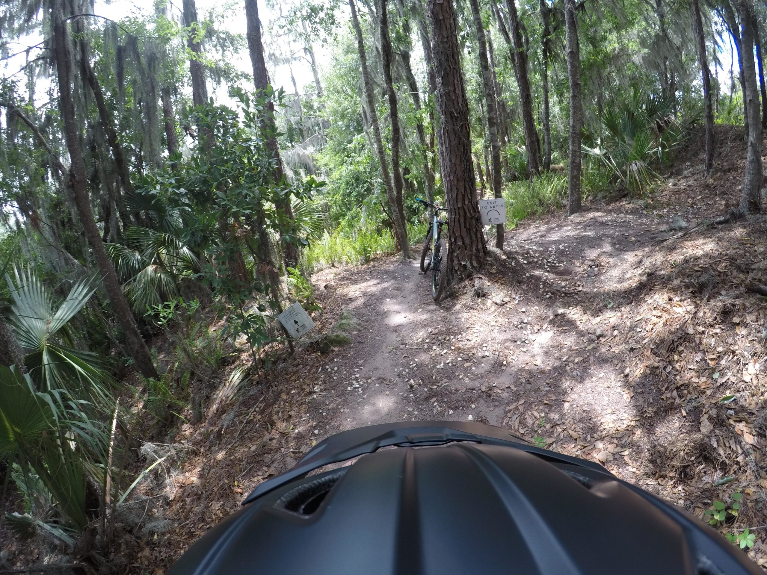 A view from a mountain bike helmet perspective on a narrow dirt trail surrounded by tall trees and lush greenery. A bike is parked next to a tree, and a trail sign is visible nearby, indicating a path branching off into the woods. Sunlight filters through the canopy, highlighting the trail's natural terrain. Balm Boyette Scrub Preserve mountain bike trail.