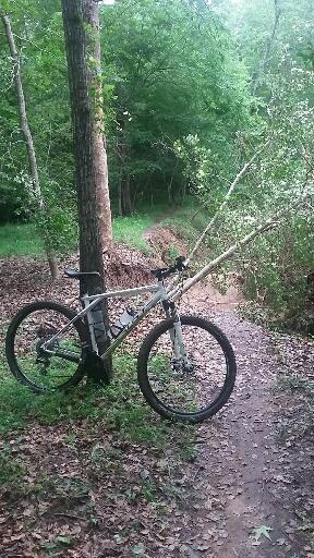 GT Backwoods: A mountain bike leaning against a tree on a dirt trail surrounded by lush green foliage. The path curves ahead, with a small ditch visible on one side, and fallen leaves covering the ground.
