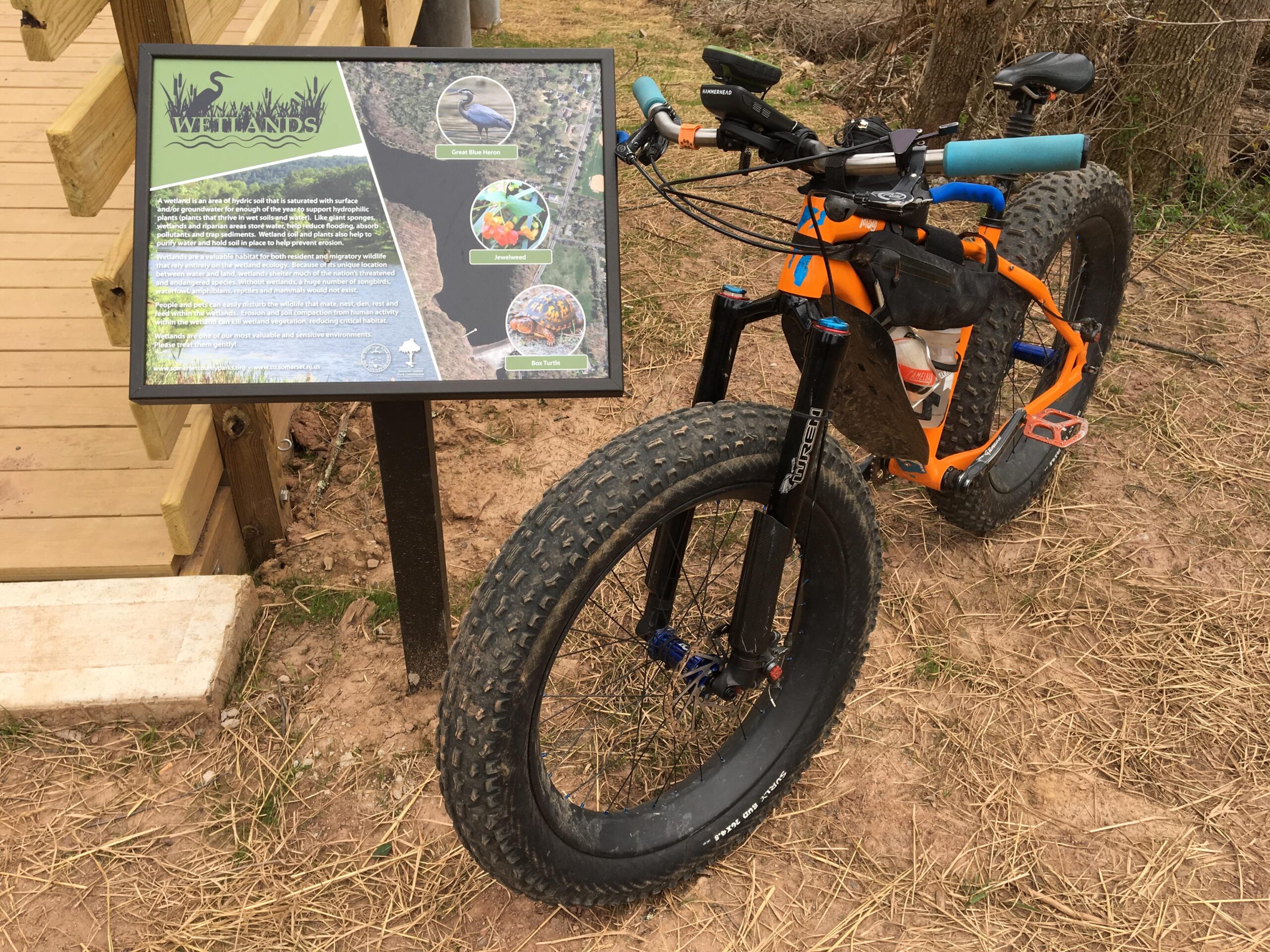 Specialized Fatboy: A fat tire bike parked next to an informational sign about wetlands, featuring images and text that describe the ecosystem, including the Great Blue Heron, various aquatic species, and the importance of wetlands. The background shows a natural setting with grass and trees.