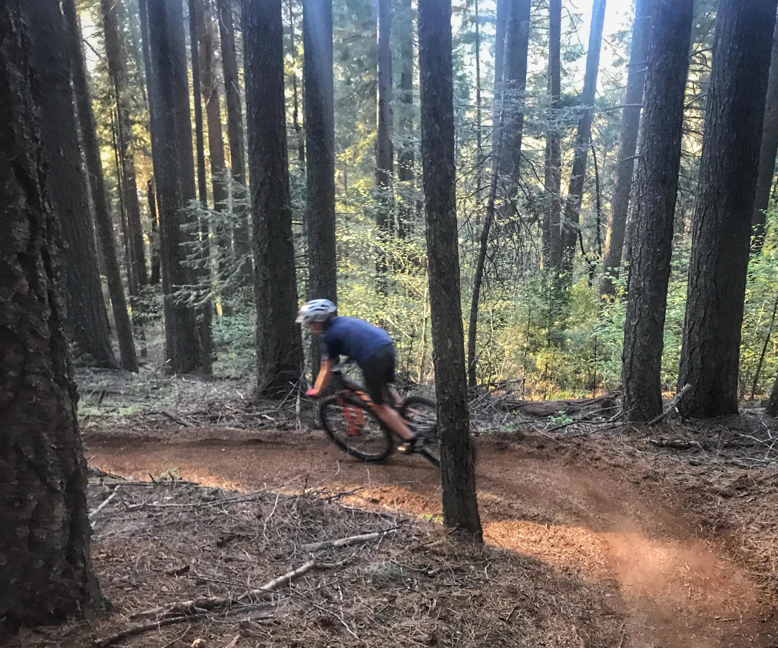 A mountain biker navigates a winding dirt trail surrounded by tall trees in a forested area, with soft sunlight filtering through the foliage. Fleming Meadows mountain bike trail.