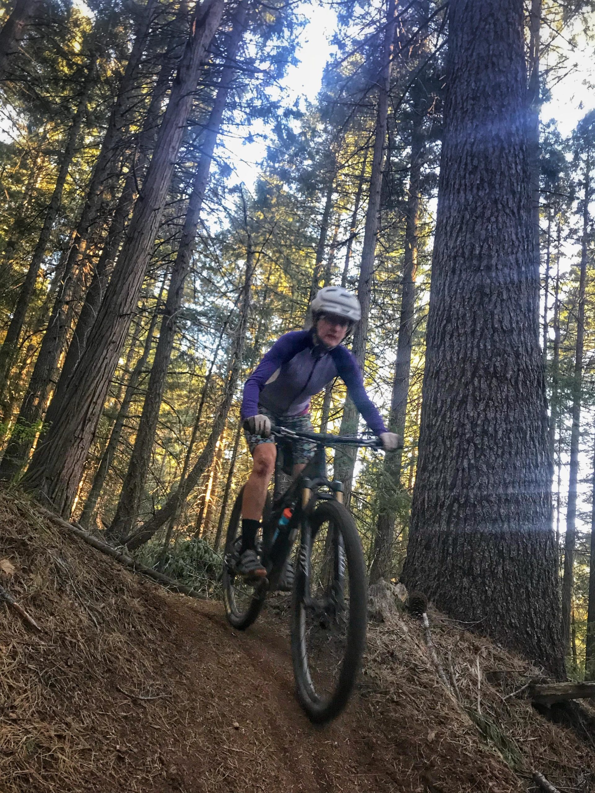A mountain biker in a helmet rides along a narrow trail through a dense forest, surrounded by tall trees and dappled sunlight filtering through the leaves. The cyclist is wearing a purple long-sleeve shirt and is captured in motion, conveying a sense of speed and adventure. Fleming Meadows mountain bike trail.