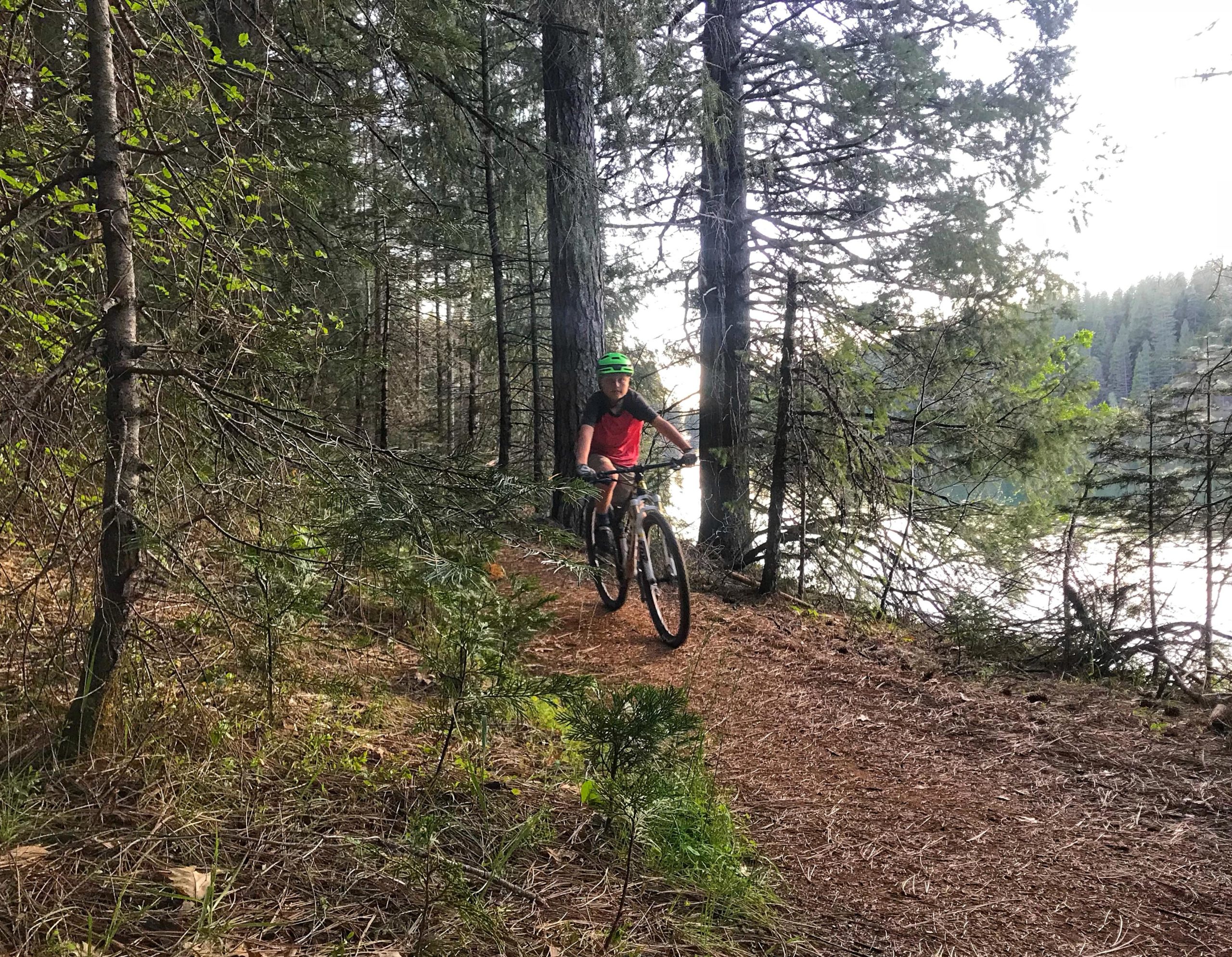 A child riding a mountain bike on a narrow trail surrounded by tall trees, with a serene lake visible in the background. The child is wearing a green helmet and a red shirt, enjoying a day of outdoor biking in a natural forest setting. Fleming Meadows mountain bike trail.