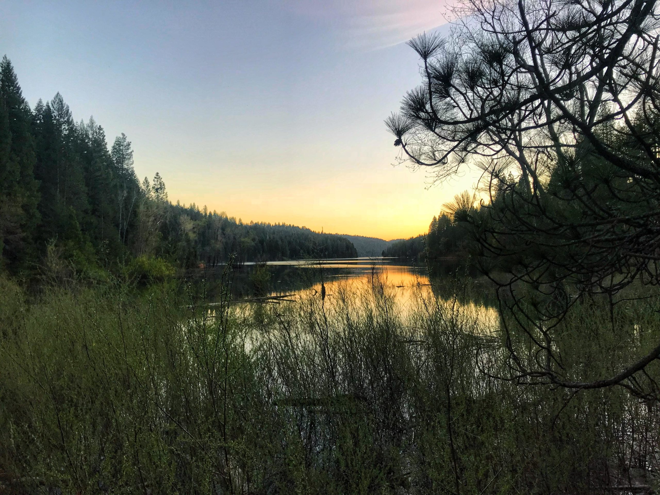 A serene view of a lake surrounded by trees at sunset, with gentle reflections on the water and a clear sky transitioning from blue to warm hues. In the foreground, lush green bushes and trees frame the scene, adding depth to the landscape. Fleming Meadows mountain bike trail.