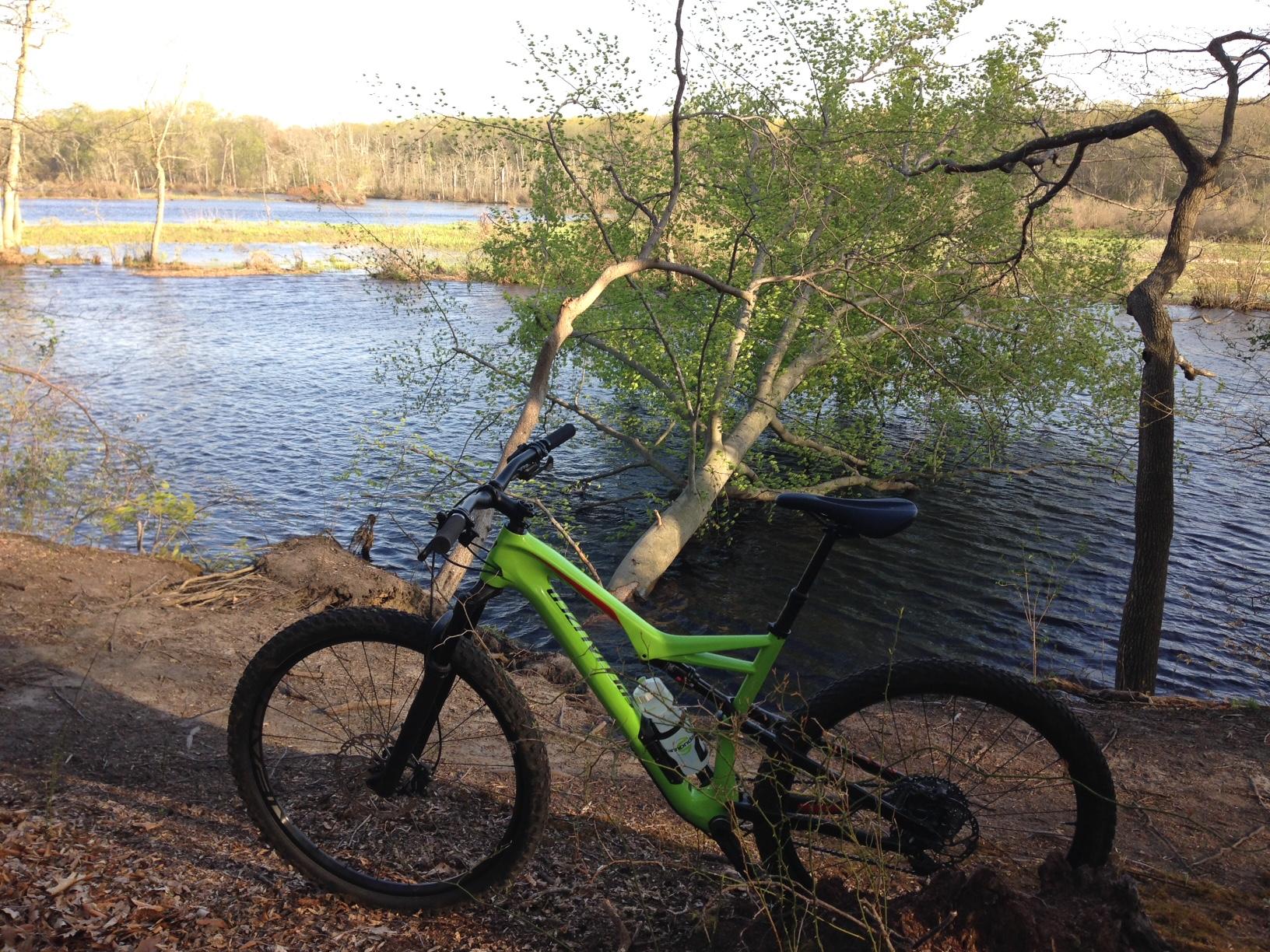 A green mountain bike is leaning against a tree on a sandy bank, with a body of water visible in the background. The scene is set in a natural area, featuring lush trees, and the sunlight casts a warm glow over the landscape. Rancocas State Park - Westampton mountain bike trail.
