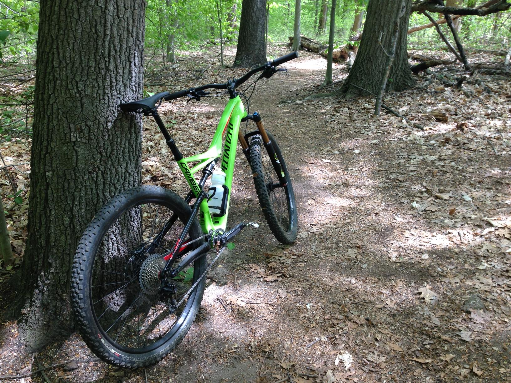 A bright green mountain bike leaning against a tree on a dirt trail surrounded by greenery. The bike features thick tires and a modern design, set in a wooded area with leaves scattered on the ground. Clayton Park mountain bike trail.