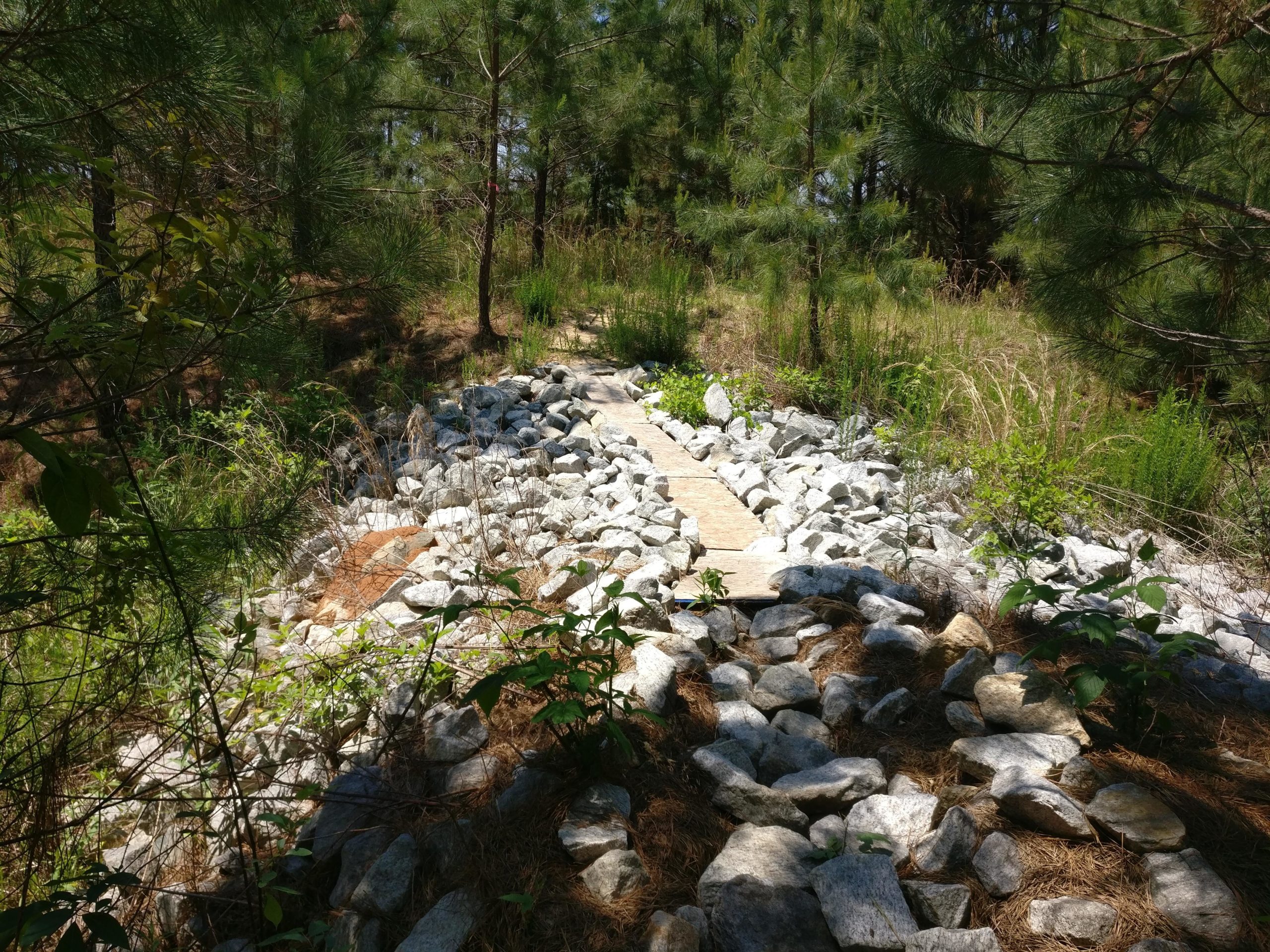A winding pathway made of flat stone tiles surrounded by large rocks, set in a wooded area with tall pine trees and lush green vegetation. Natural undergrowth and grass partially cover the ground, creating a serene outdoor landscape. Austell Threadmill MTB Park (Closed) mountain bike trail.