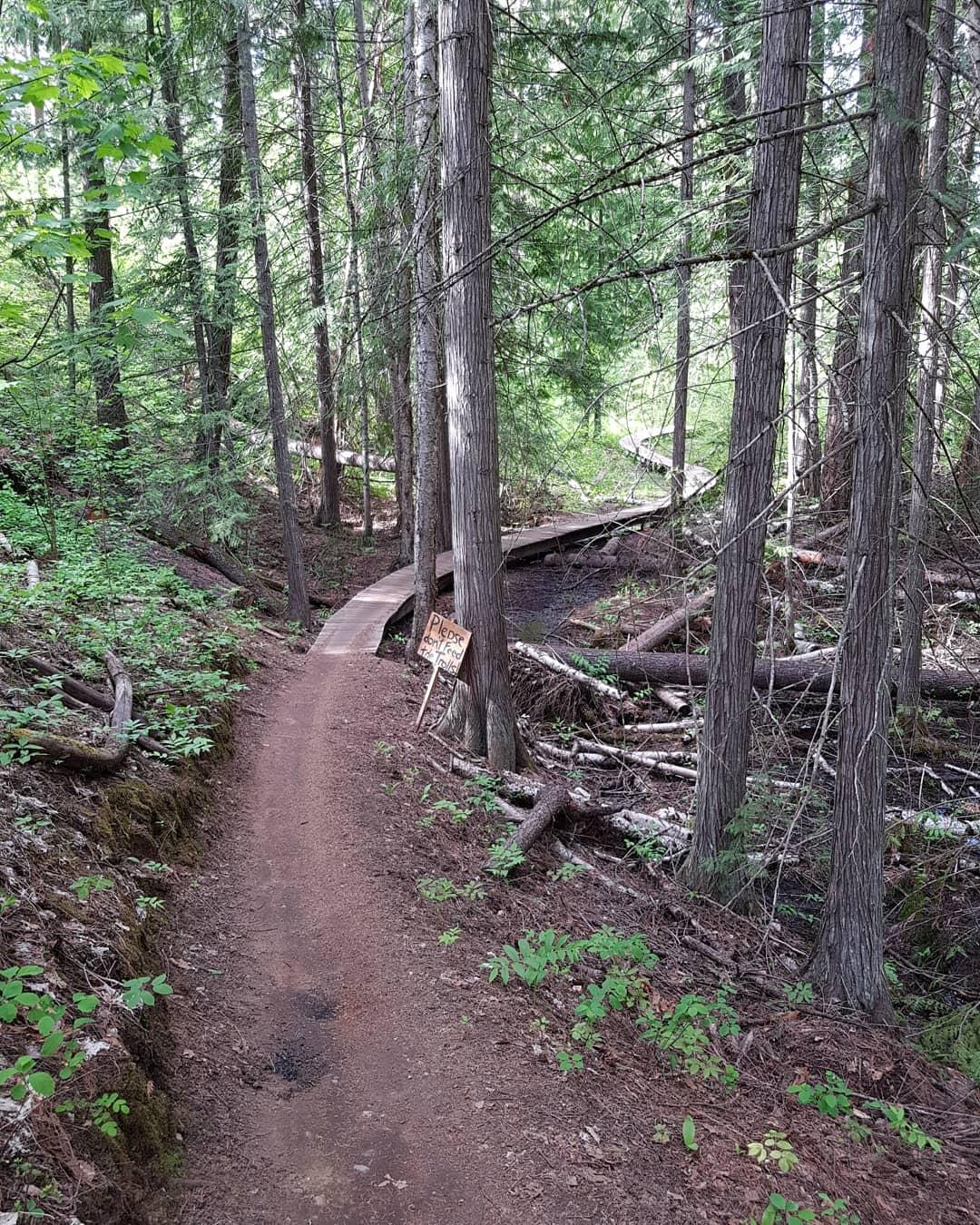 A dirt path winding through a lush forest, flanked by tall trees and underbrush. A wooden boardwalk extends along part of the trail, and a handmade sign requesting hikers to stay on the path is visible nearby. Sunlight filters through the foliage, creating a serene and inviting atmosphere. South Canoe mountain bike trail.