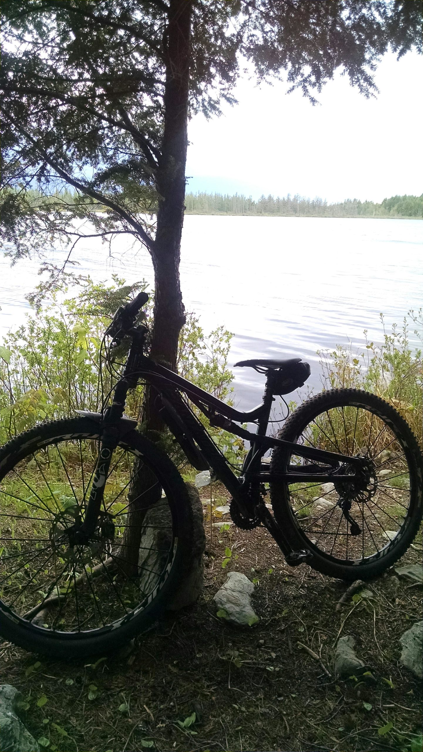 A mountain bike leaning against a tree near a tranquil lake, surrounded by lush greenery and rocks. The scene captures a peaceful outdoor atmosphere with calm waters and a forested background. Kiski Hills off 1A mountain bike trail.
