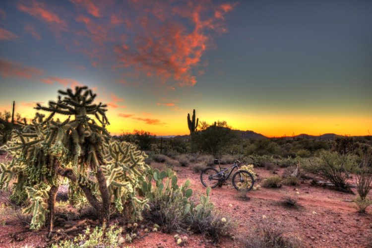 A scenic desert landscape at sunset, featuring a cholla cactus and other desert vegetation in the foreground, with a mountain bike leaning on the ground. The sky showcases vibrant hues of orange, pink, and purple as the sun sets behind distant mountains.