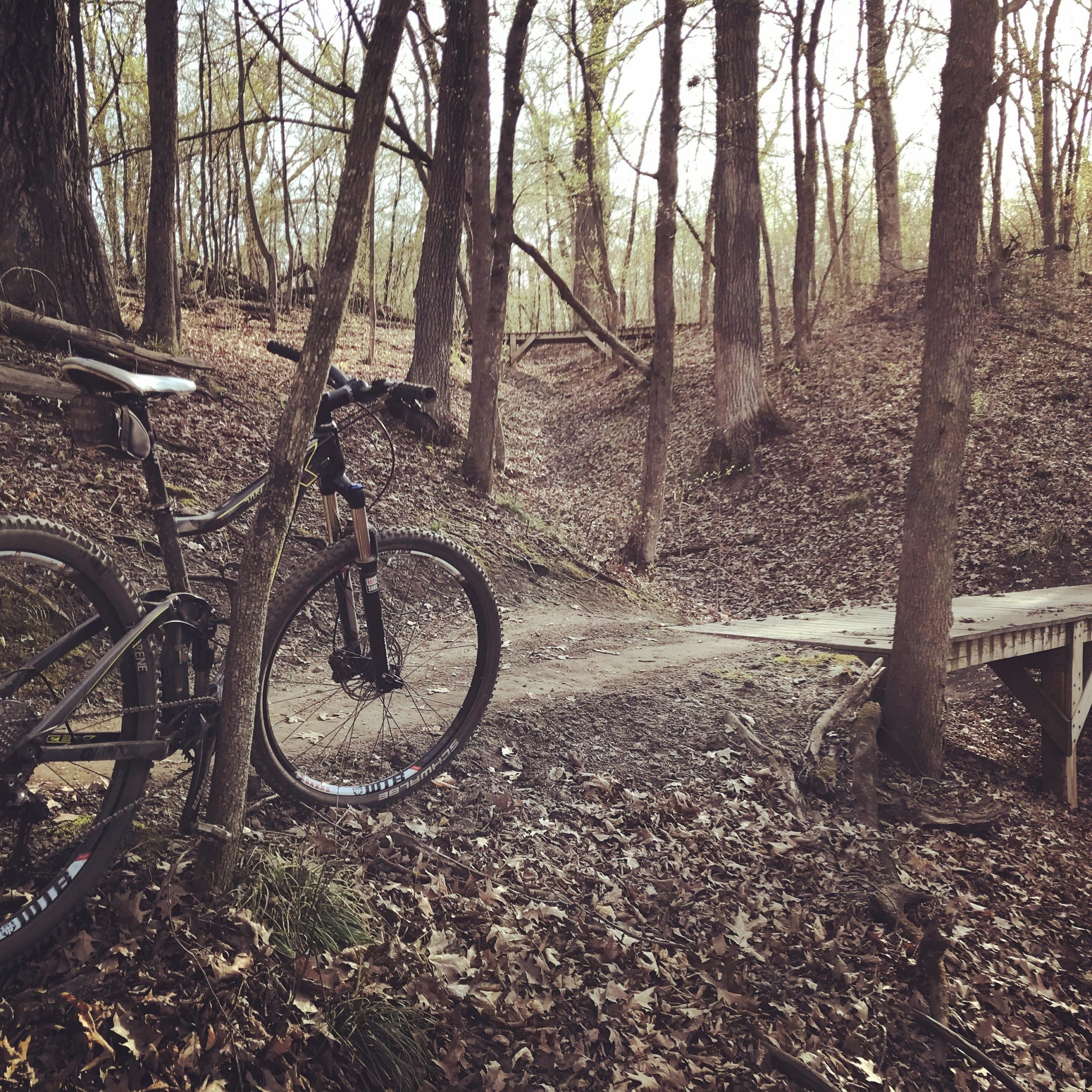 A mountain bike leaning against a tree in a forested area with fallen leaves on the ground. In the background, a dirt path leads to a wooden bridge crossing a small ravine, surrounded by trees with sparse foliage. Elm Creek Park mountain bike trail.