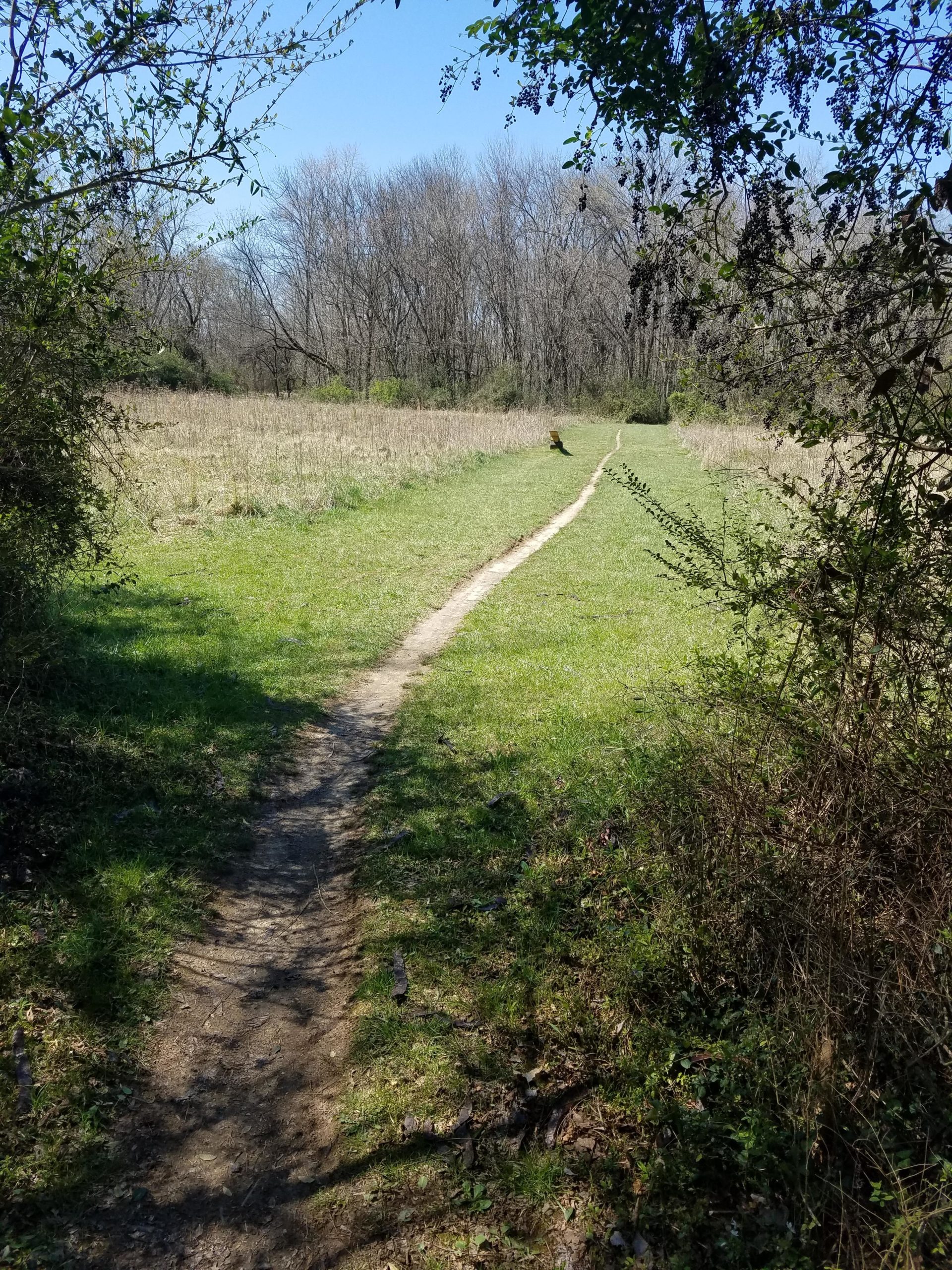 A narrow dirt path leads through a grassy field, bordered by shrubs and trees. The sky is clear and blue, with a few bare trees visible in the background, indicating early spring or late winter. Low Hollow mountain bike trail.